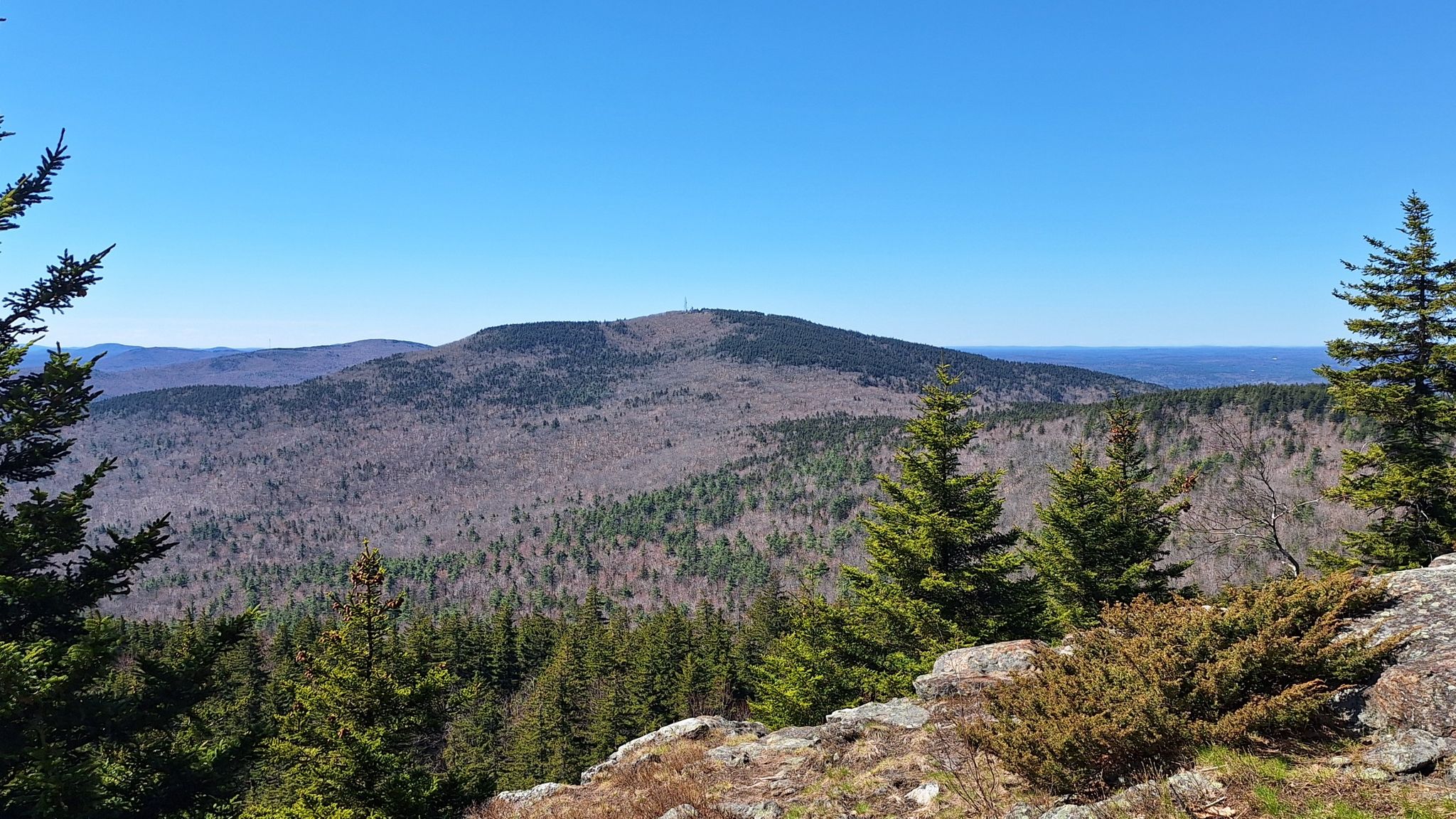 Sunny mountain landscape with green and brown trees under a clear blue sky. - North Pack Monadnock via Wapack and Cliff Trail