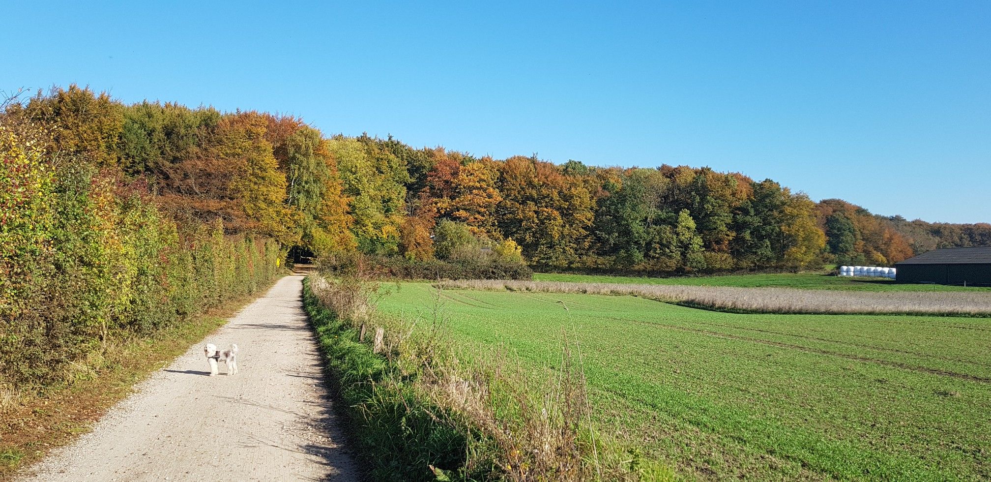 Langballig Freiwillen 03