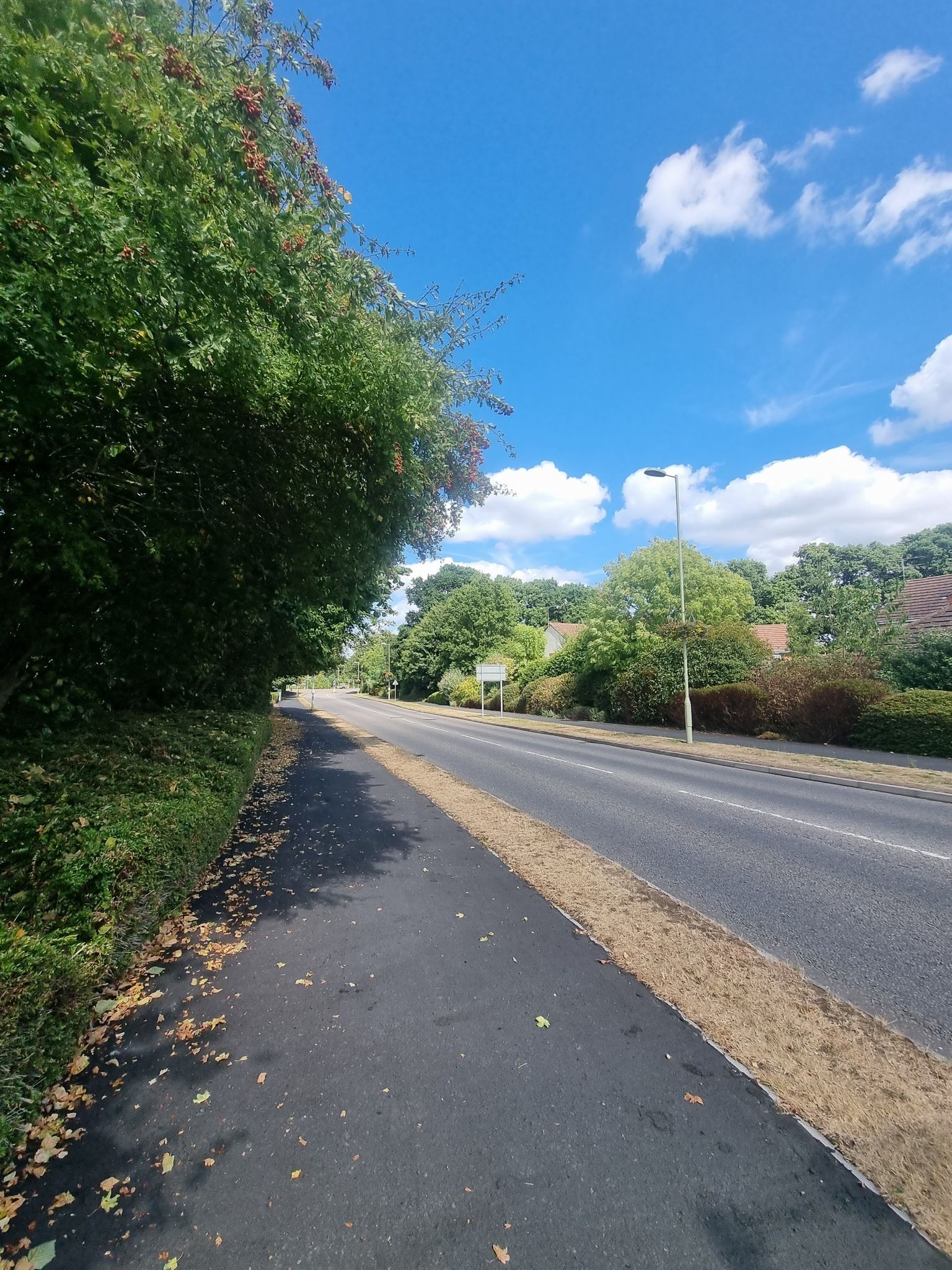 Knightwood Road