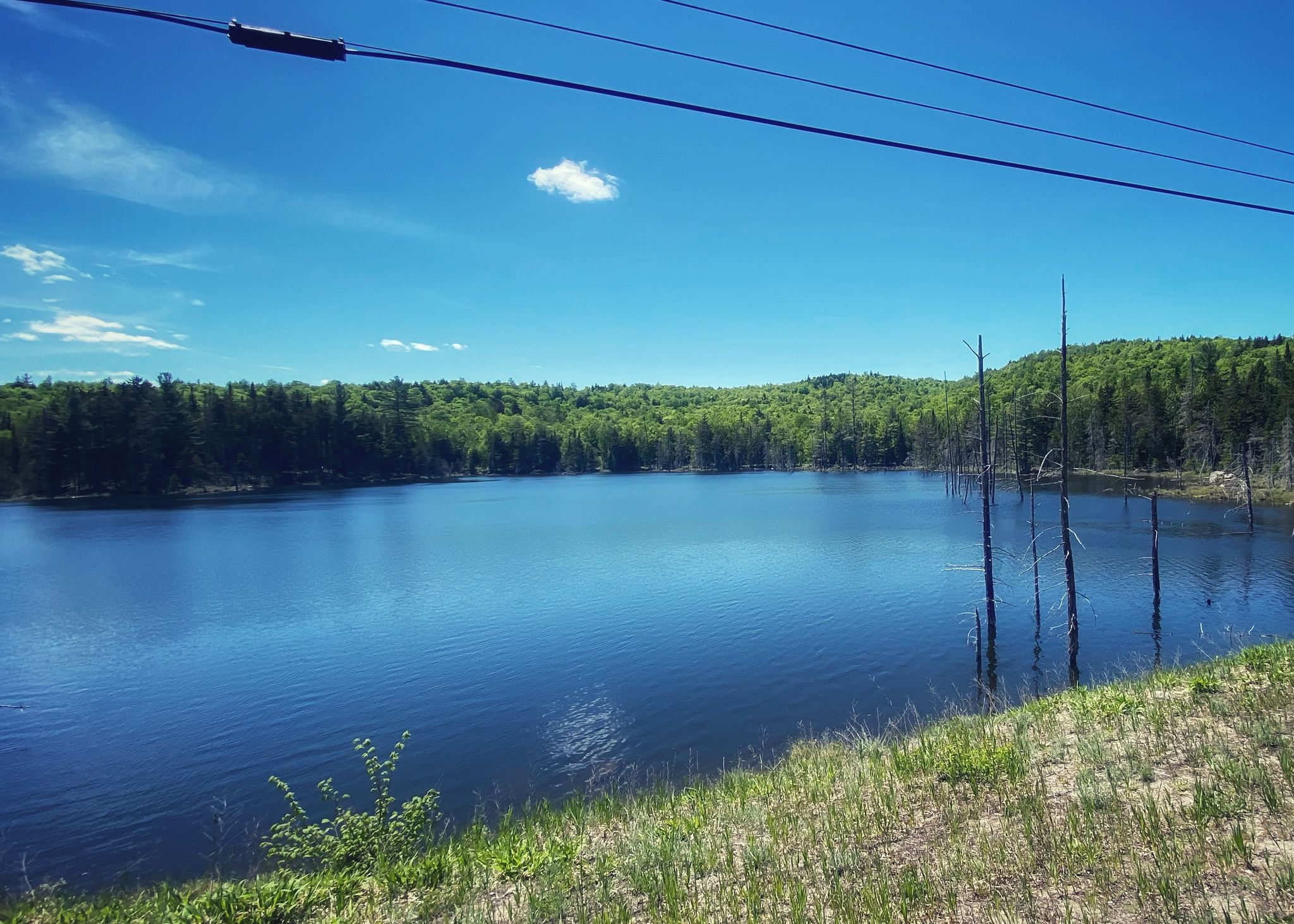Bright sunny day over a blue lake with dead trees and green forest. - Long Lake to Tupper Lake loop
