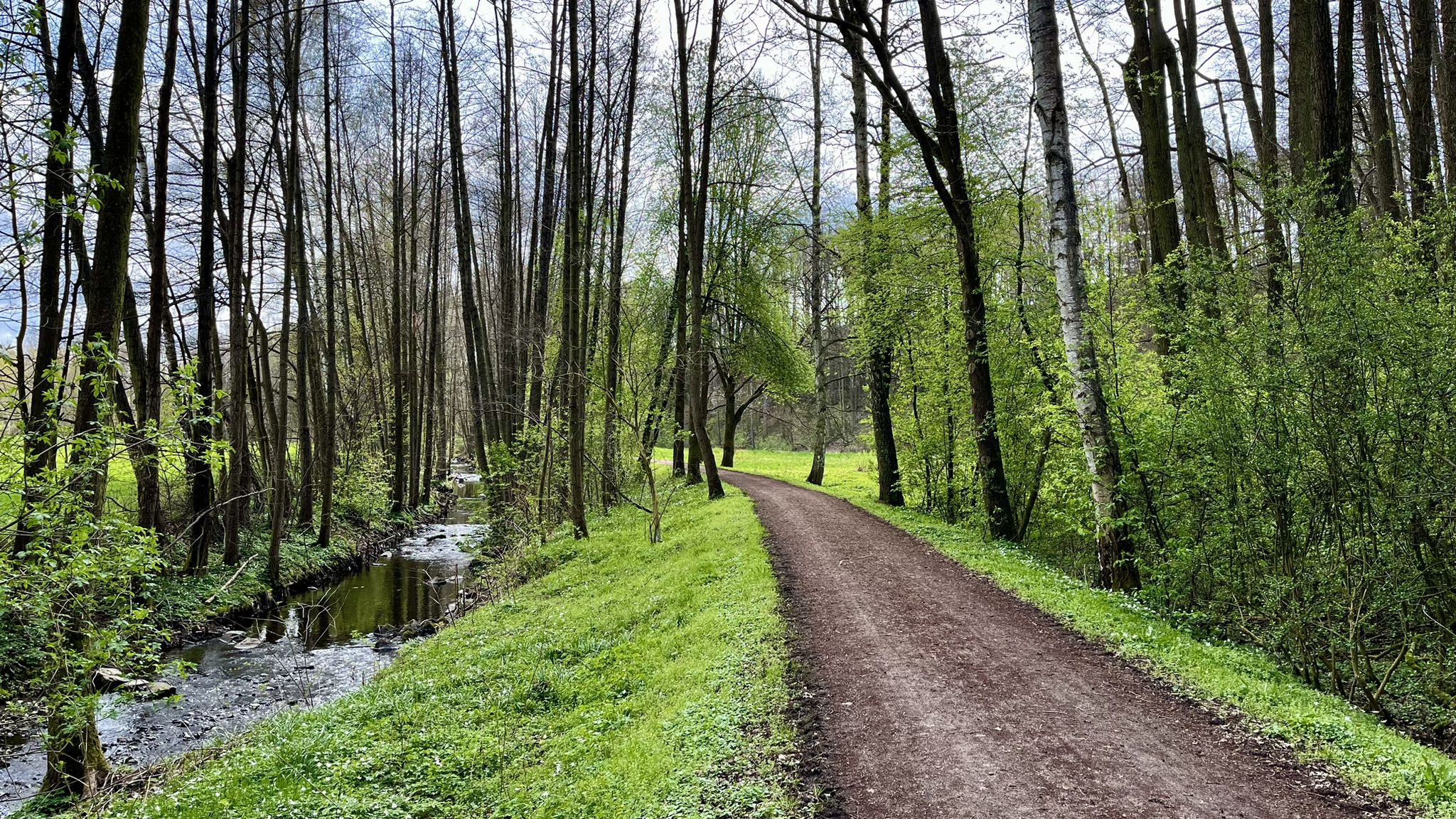 Bahndamm und Triebisch
