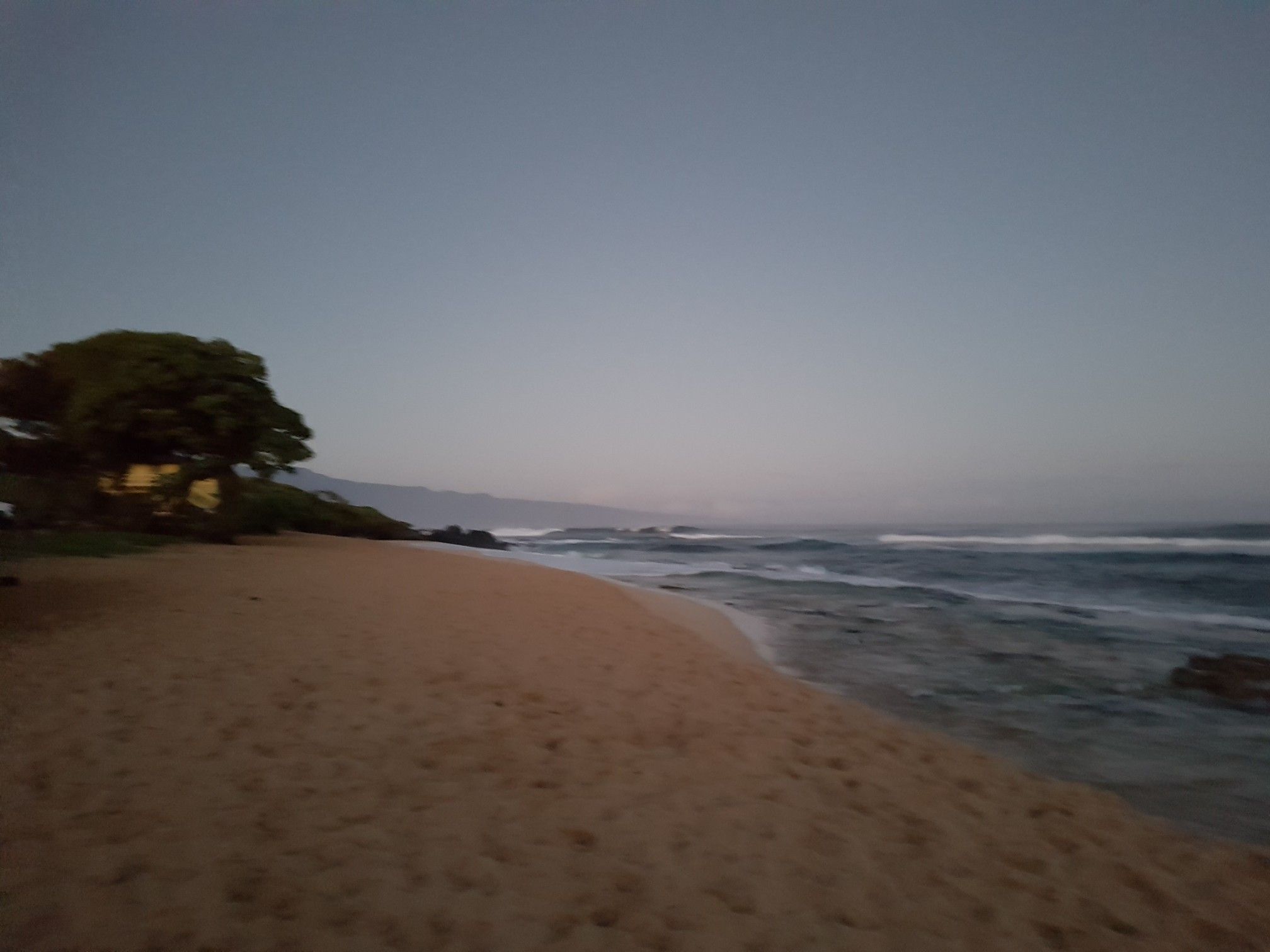 Dusk light over a sandy beach with ocean waves and a large tree. - Ho'okipa Beach Walk