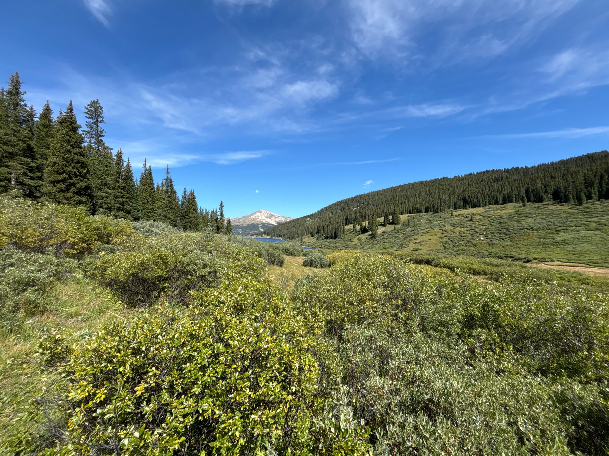 Sunny view of a green valley, pine forest, and distant snow-capped mountain peak. - Clinton Gulch Reservoir Trail