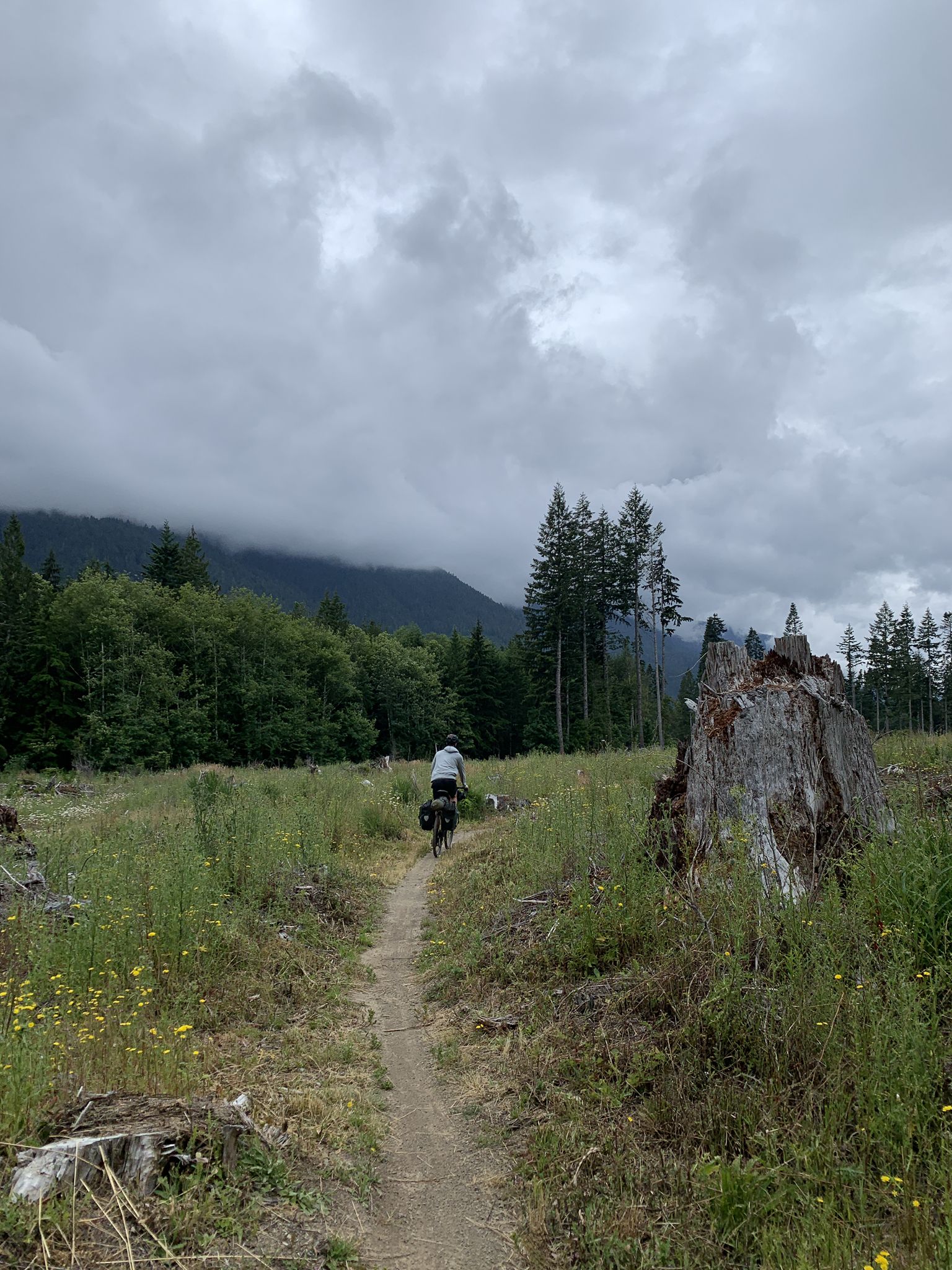 A cyclist on a dirt path in a grassy field under cloudy skies. - Olympic Discovery Adventure Route & Horse Trail loop