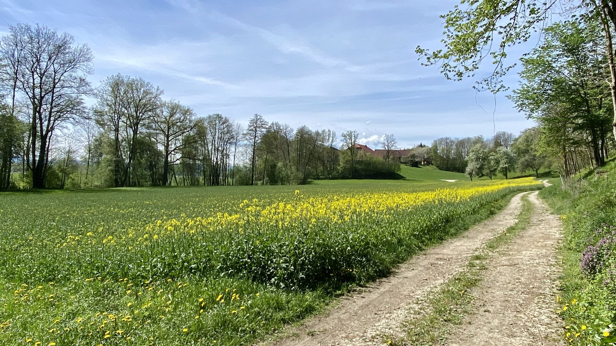 Ortmanau - Zinselbach