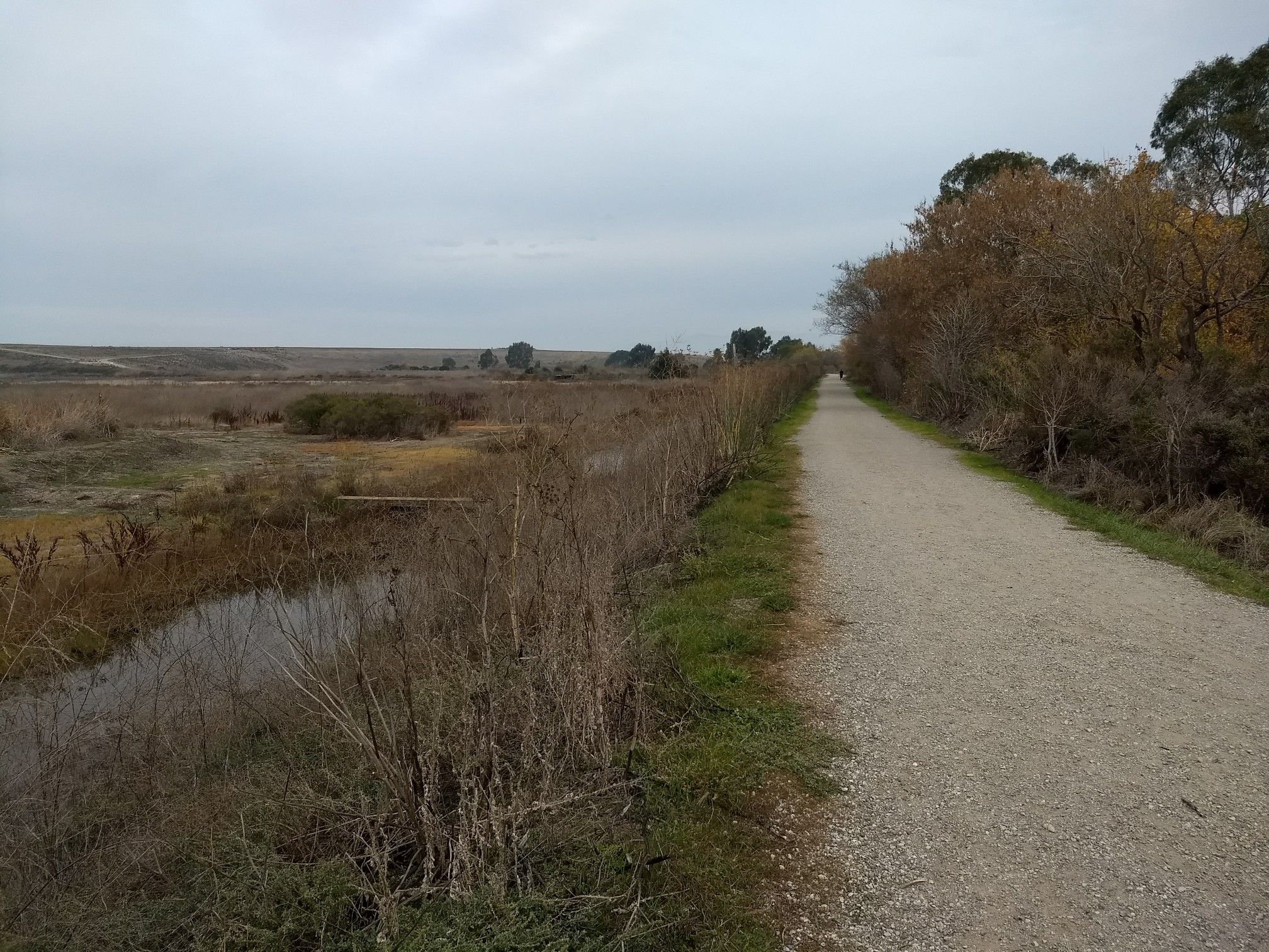 Gravel path next to a marshland ditch under an overcast sky. - Adobe Creek Trail: Byxbee Park to Freshwater Marsh at Matadero Creek