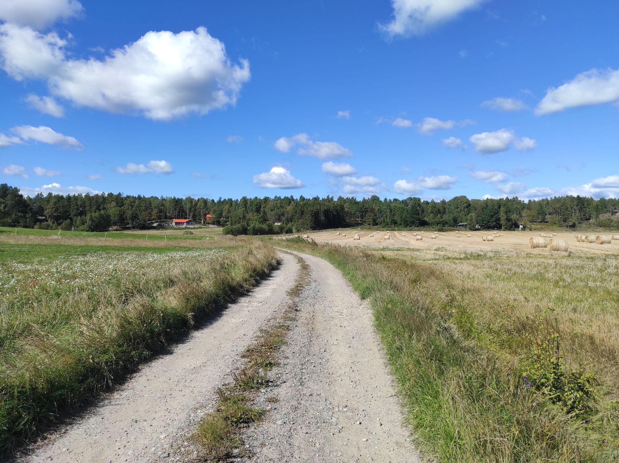 Found some nice gravel roads, so let's ditch the big roads!