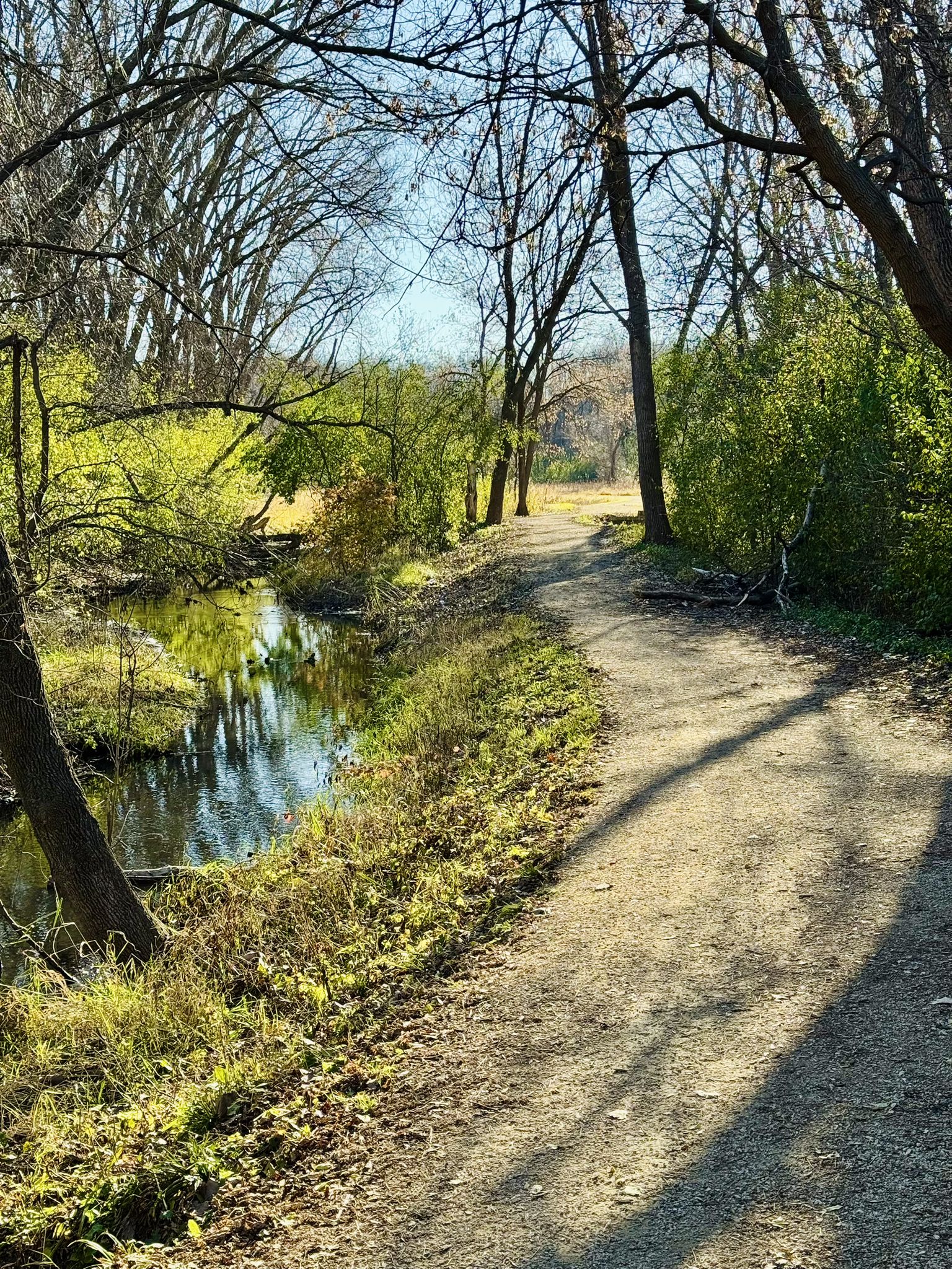 Purgatory Creek