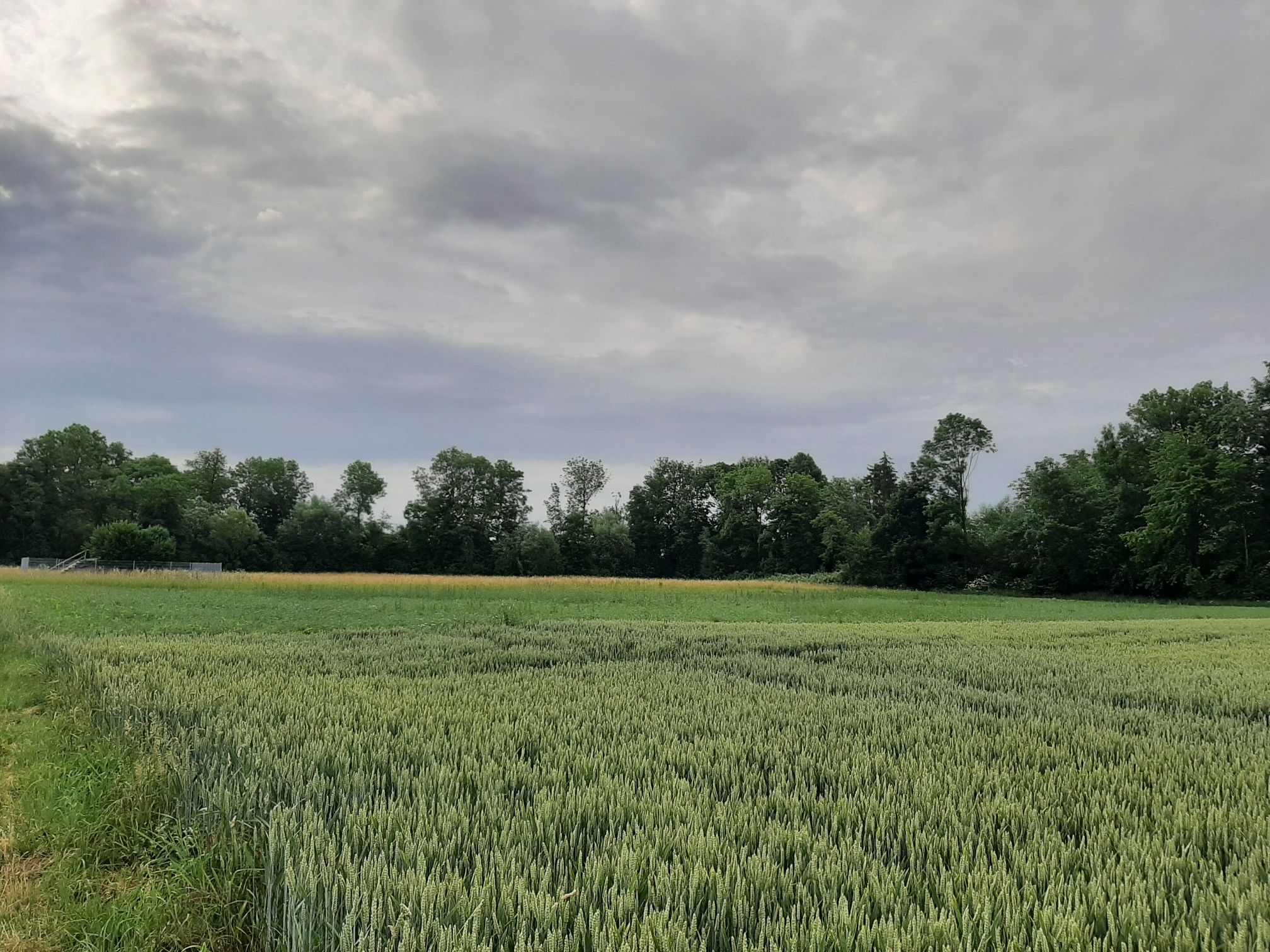 Wies's Wetter wohl wird heute?