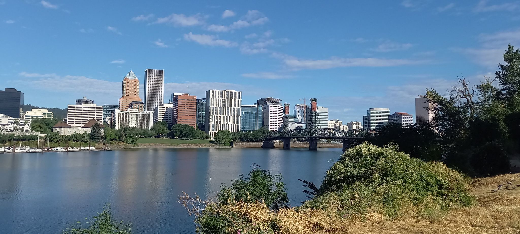 Sunny city skyline with tall buildings across a calm river. - Willamette River Loop