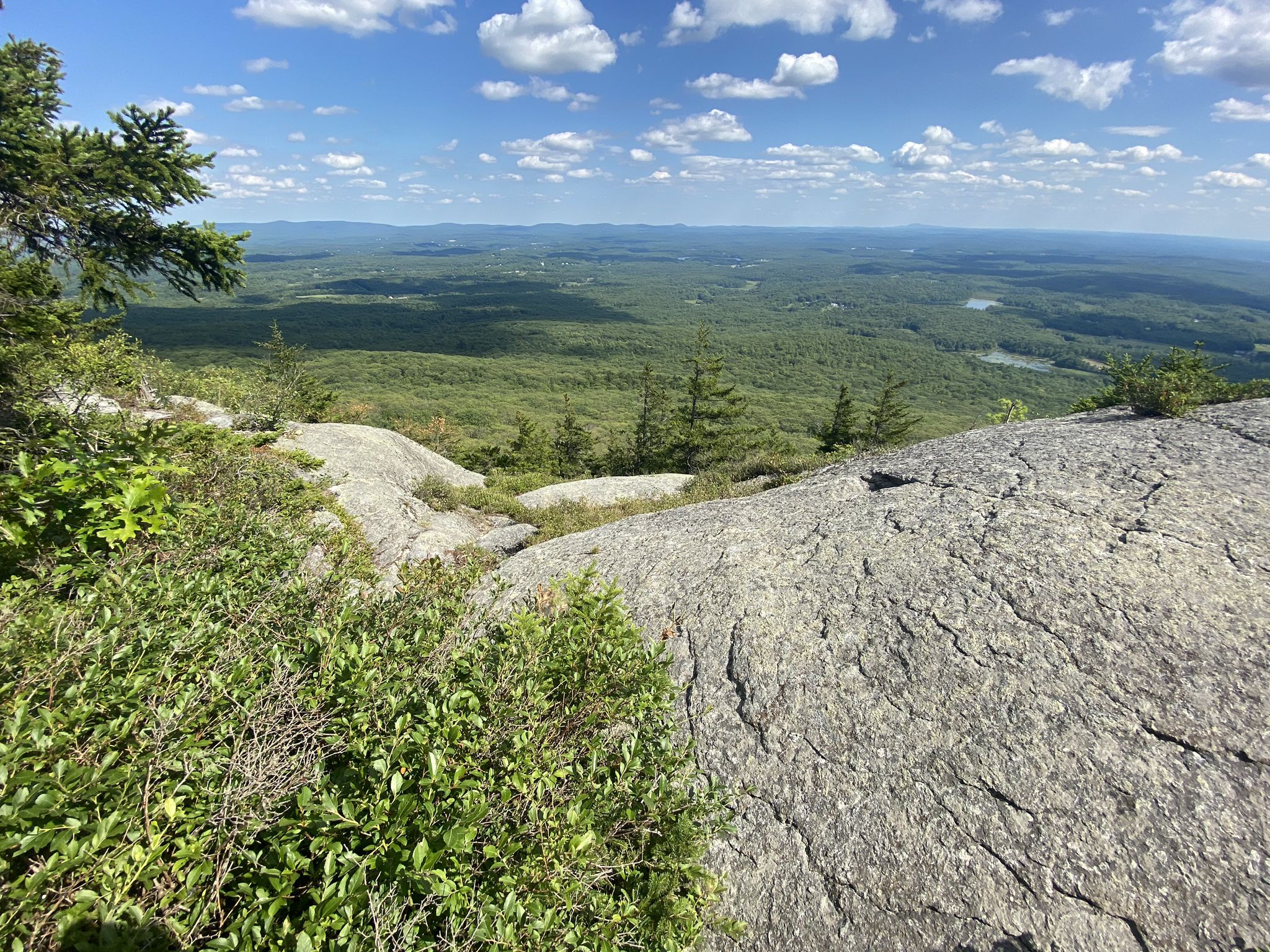 Rocky foreground overlooking a vast green forest under a blue sky. - Parker and Lost Farm Trail Loop