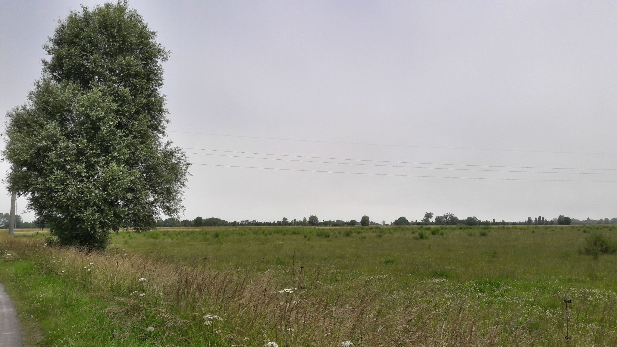 Le Marais de Dol