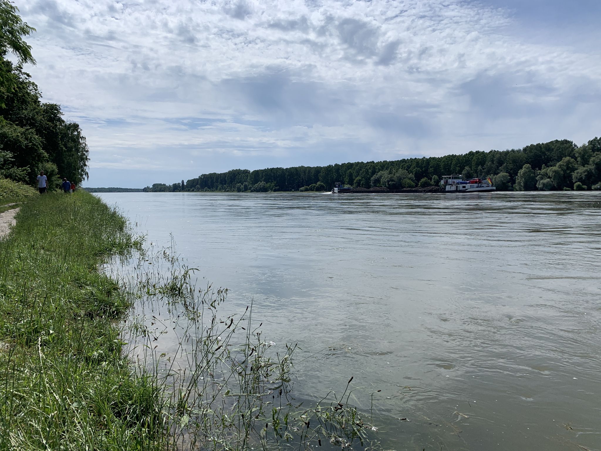Der Rhein ist wieder voll bis oben hin 