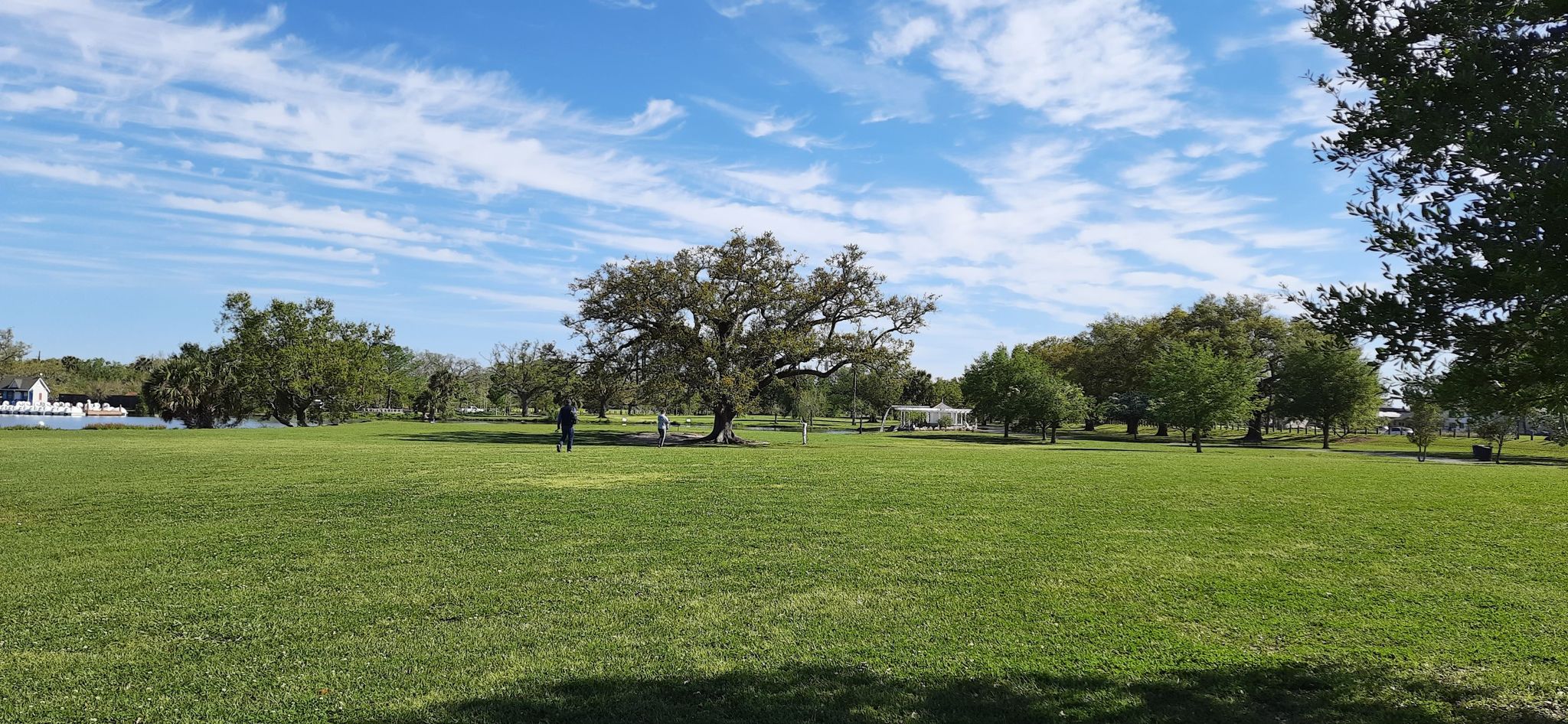 A vast green field with scattered trees and a person walking in the distance. - Royal Street, New Orleans – Bayou Metairie loop from New Orleans