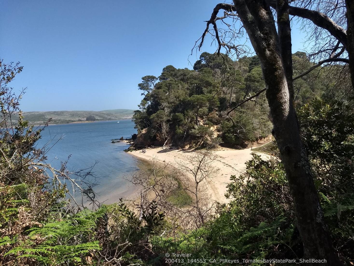 Bright bay with calm blue water, sandy beach, and lush green forested hillside. - Jepson and Johnstone Trail Loop