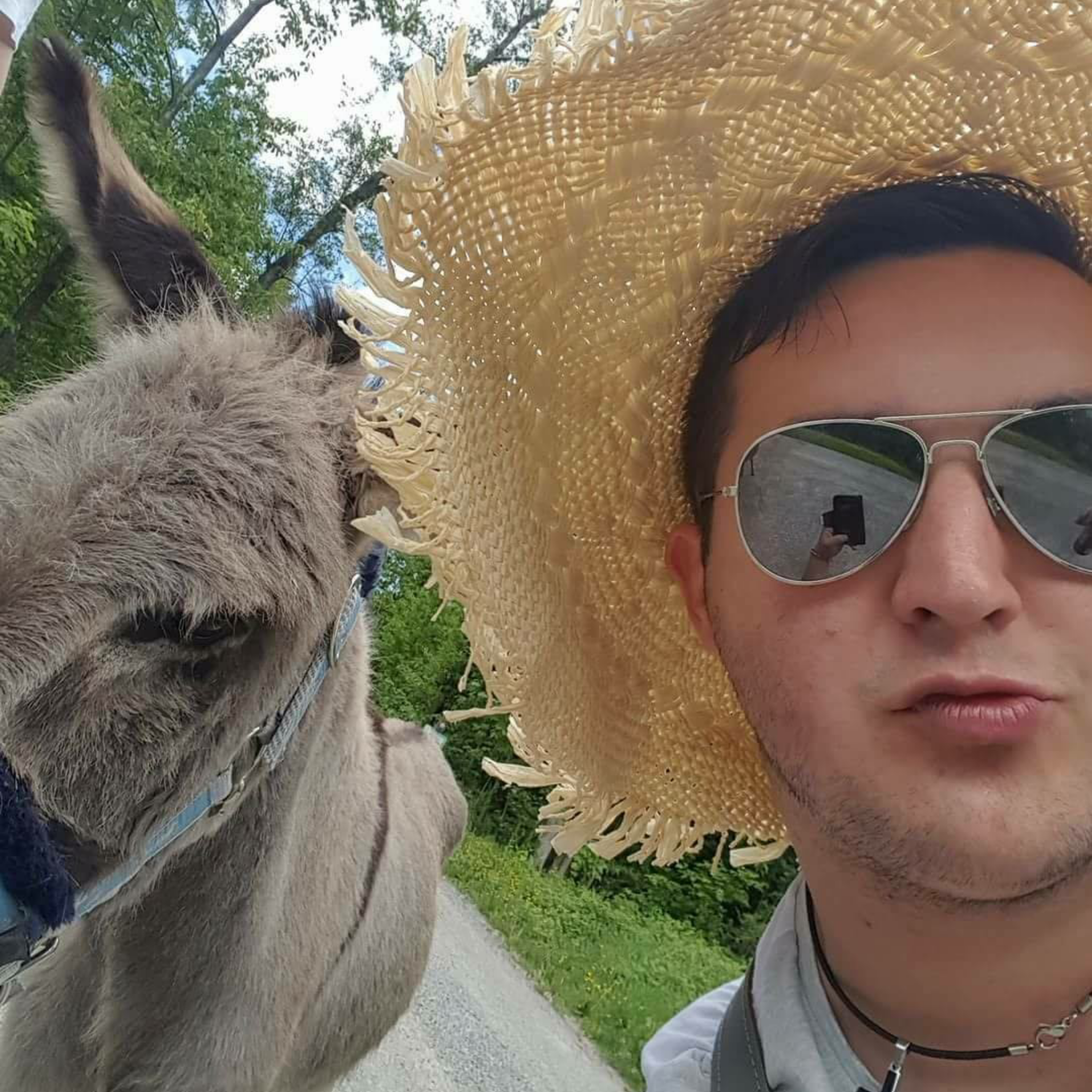 user avatar