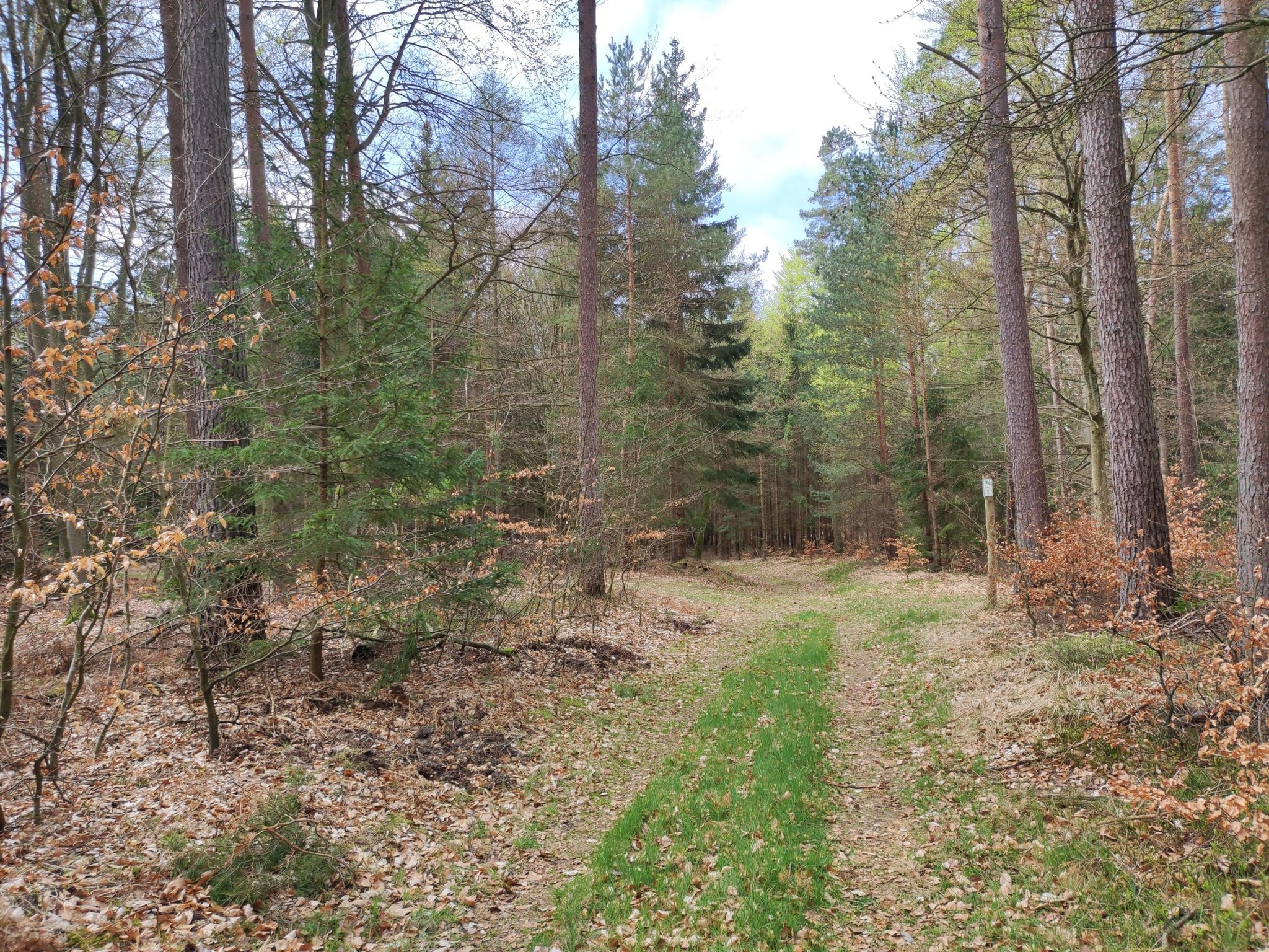 Der Alte Gelbensander Weg