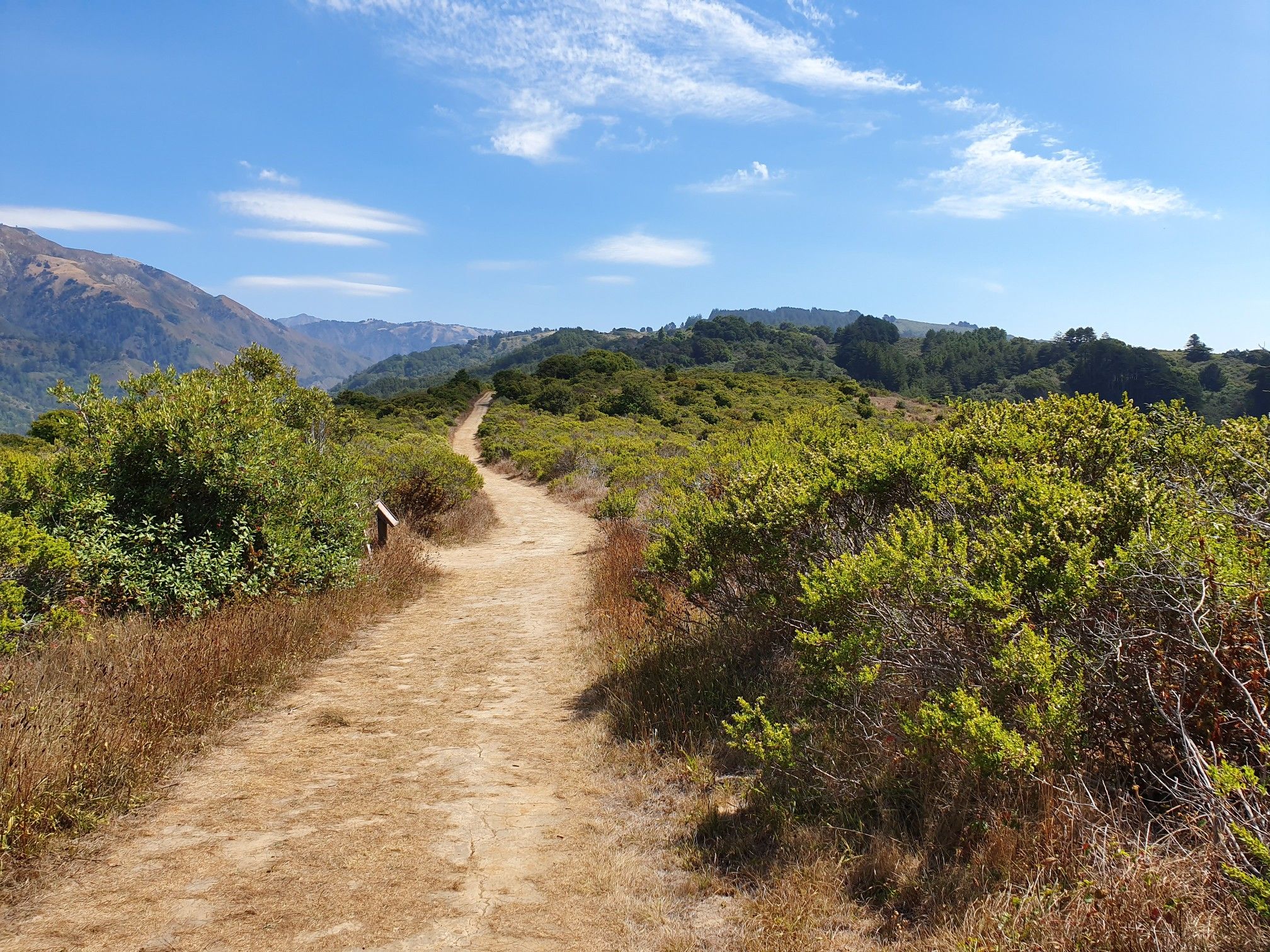 Dirt path winds through sunny green and dry brush with distant mountains. - Ridge, Panorama, and Bluffs Trail Loop