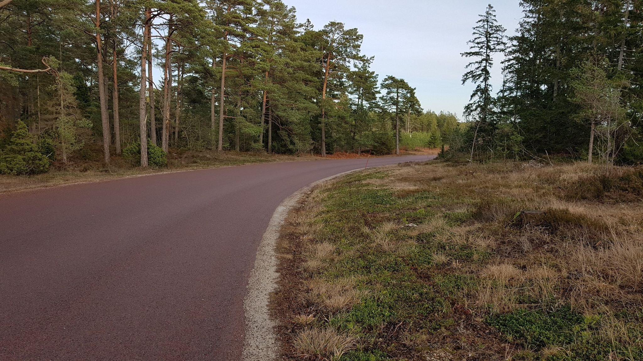 Ett stycke landsväg