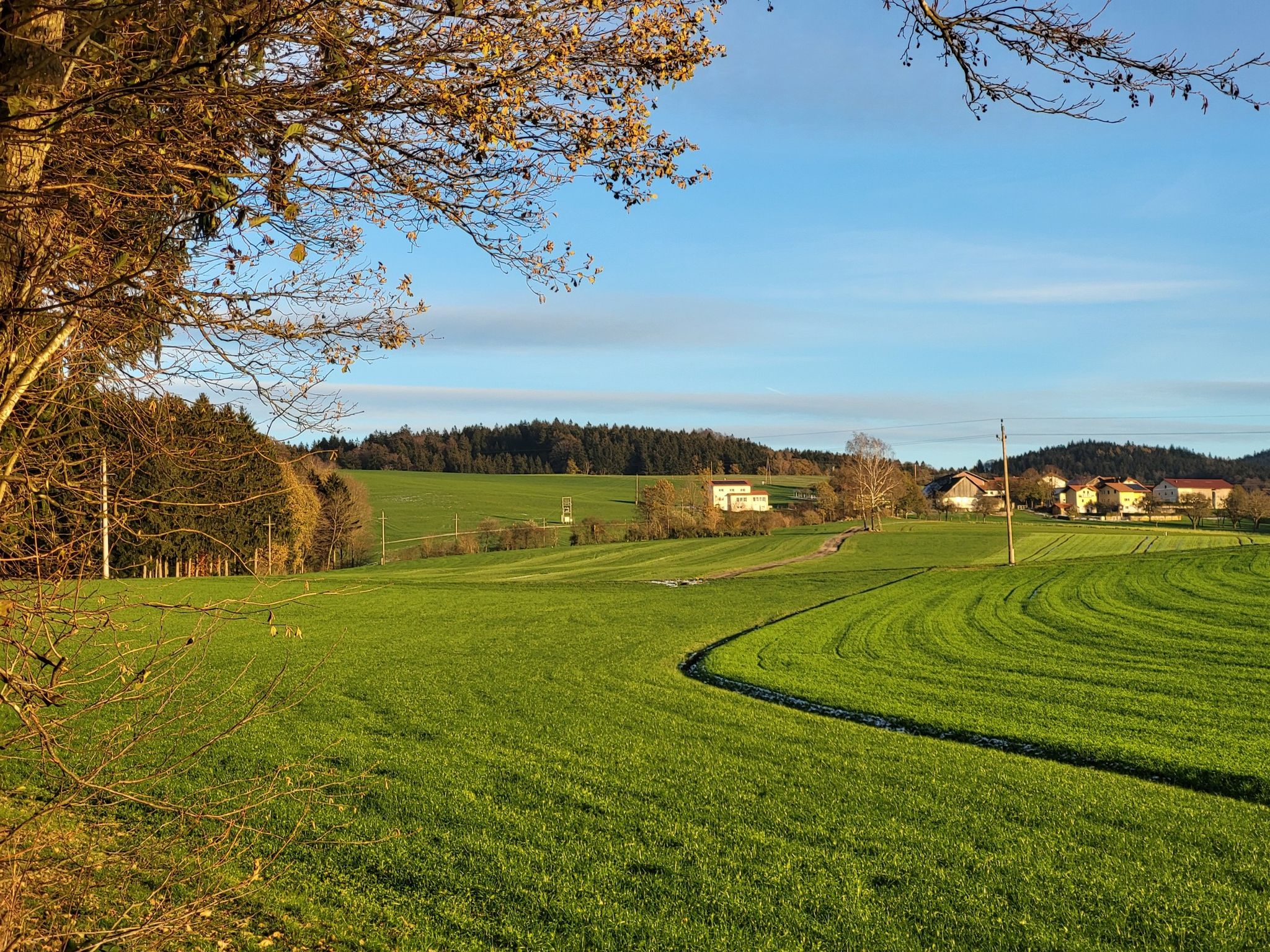 Urschendorf