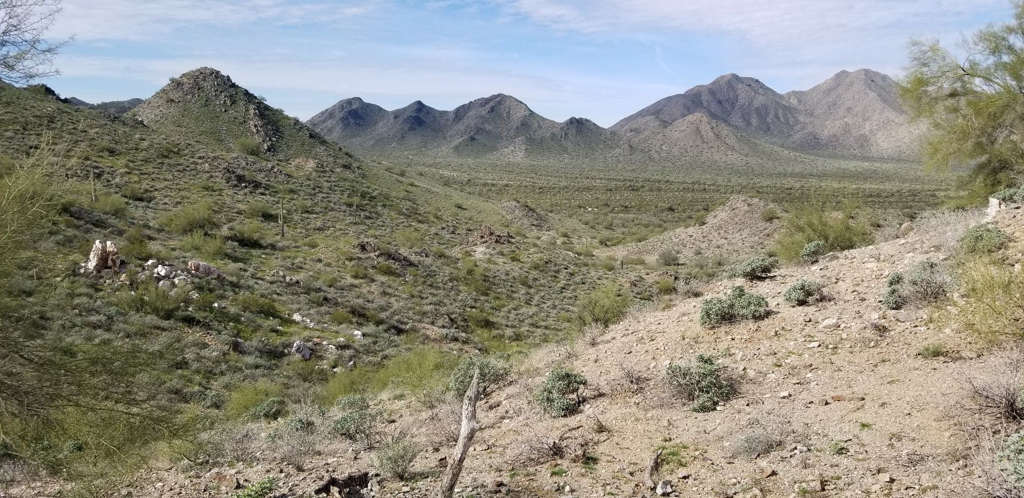 Hilly desert landscape with distant mountains, sparse green brush, and clear skies. - Dynamite Trail – Dynamite Trail loop from Goldmine Trailhead