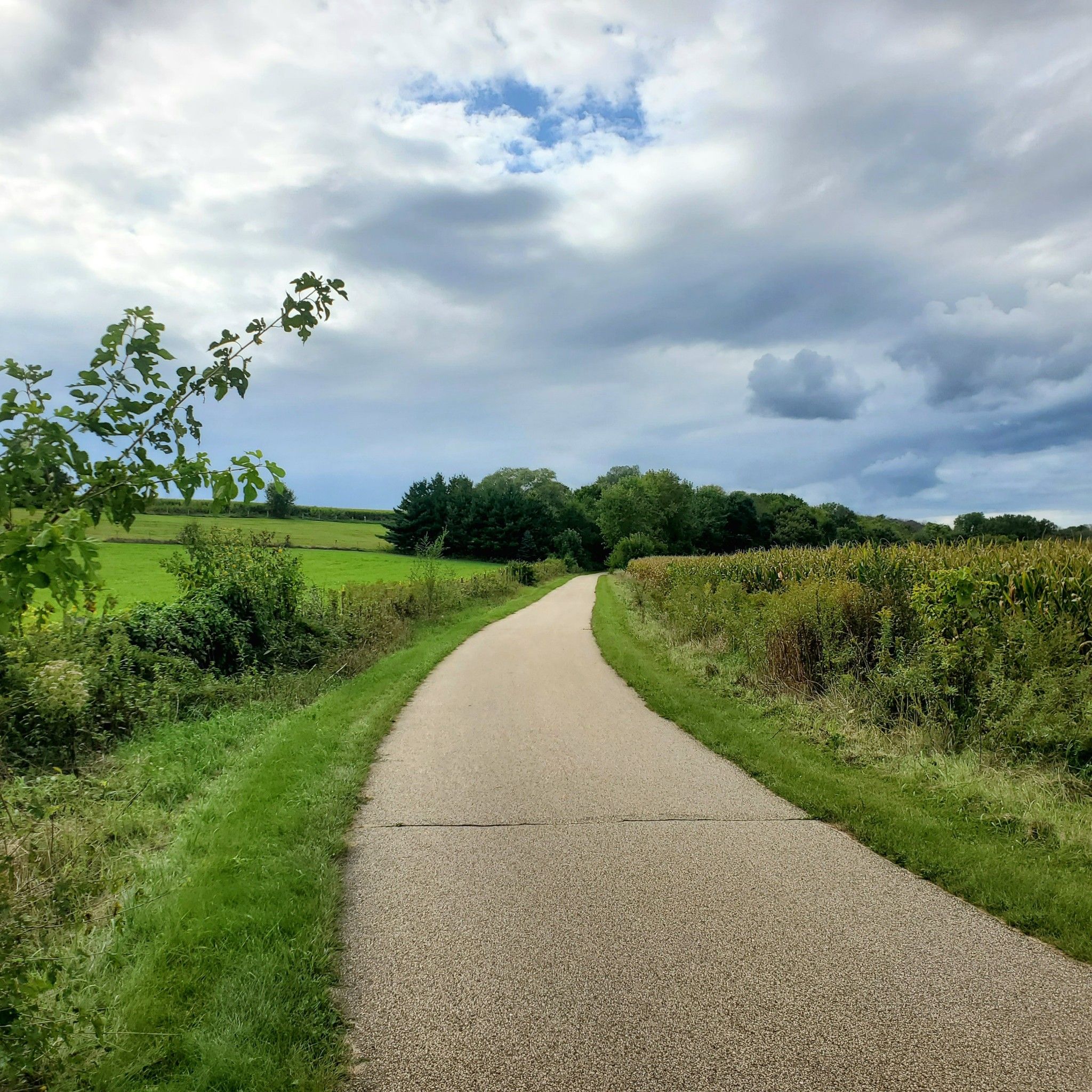 Paved path curving through green fields under a dramatic cloudy sky. - Mississippi River Greenway and Hastings Loop