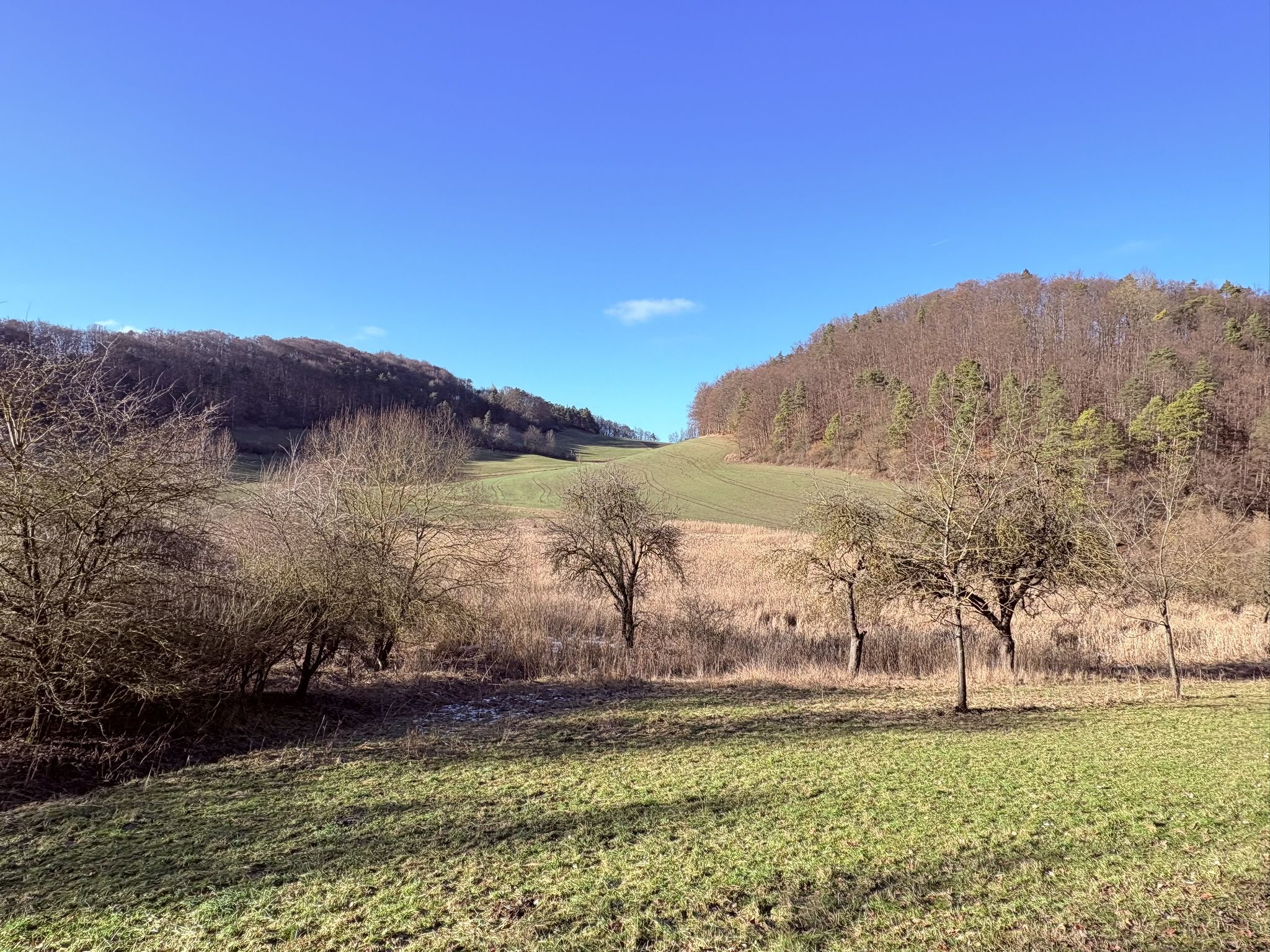 Talgrund vor dem Taubenberg