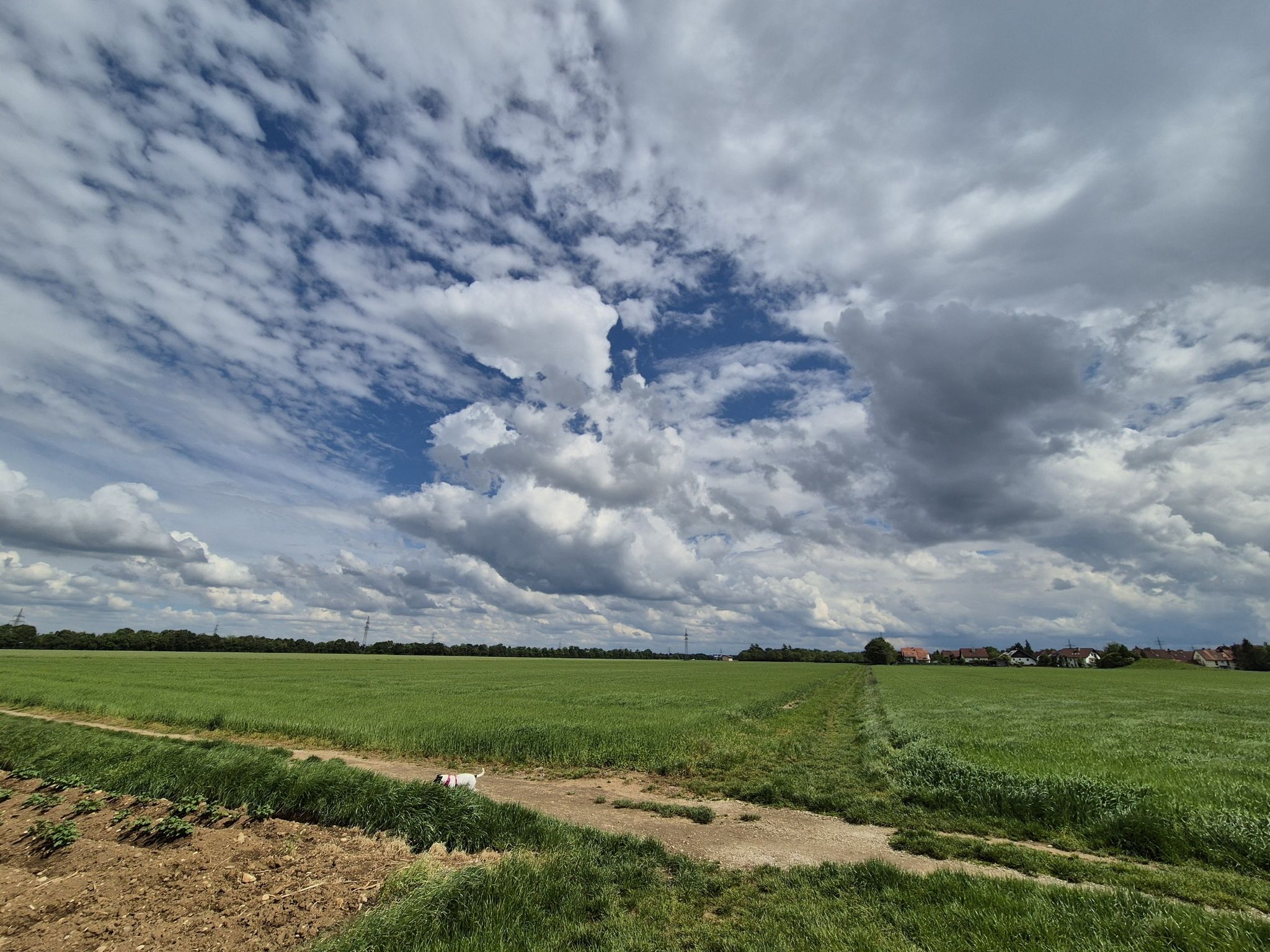 Am nordöstlichen Rand von Heimstetten, Blick nach Südosten