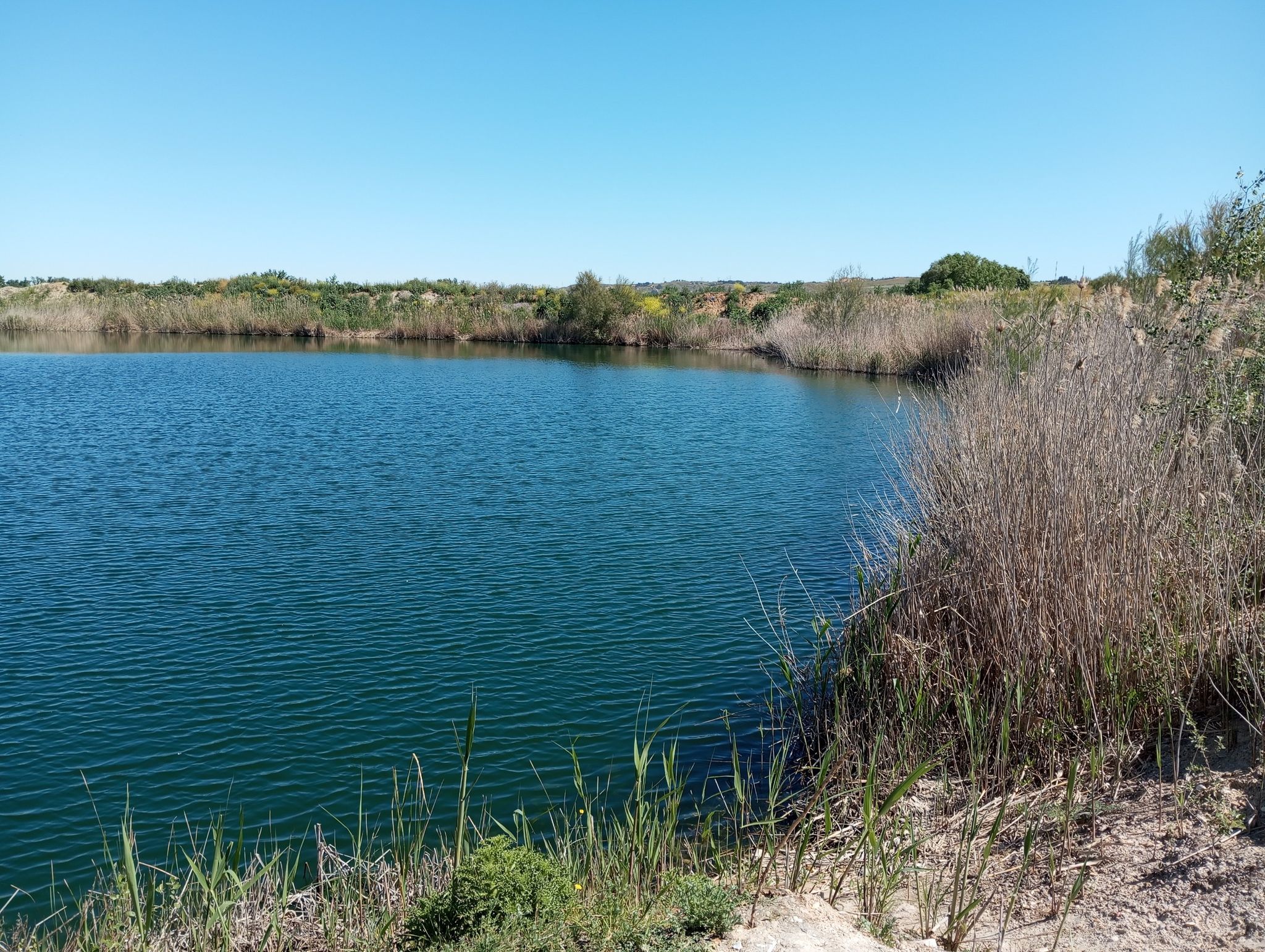 laguna