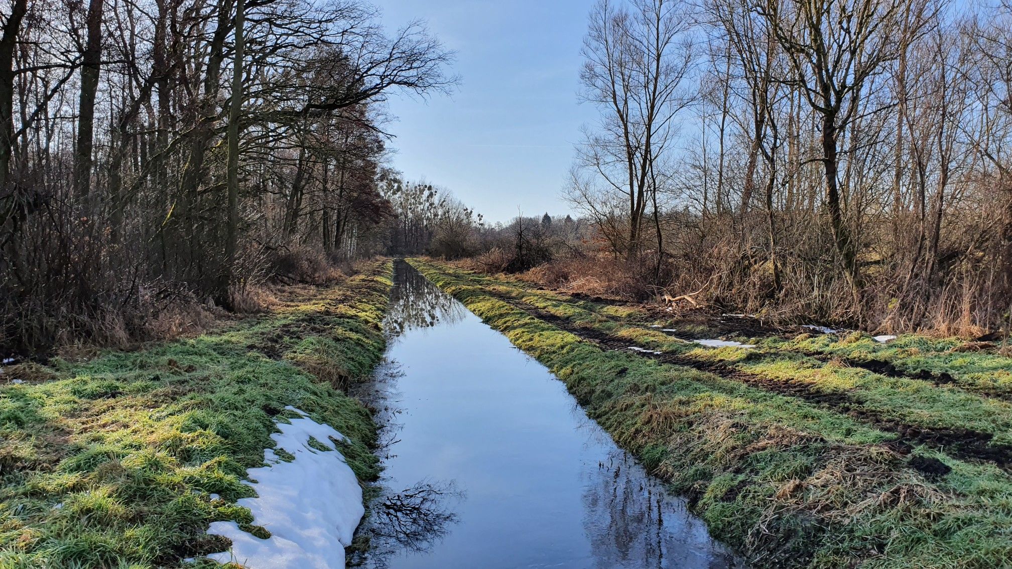 Viel Wasser