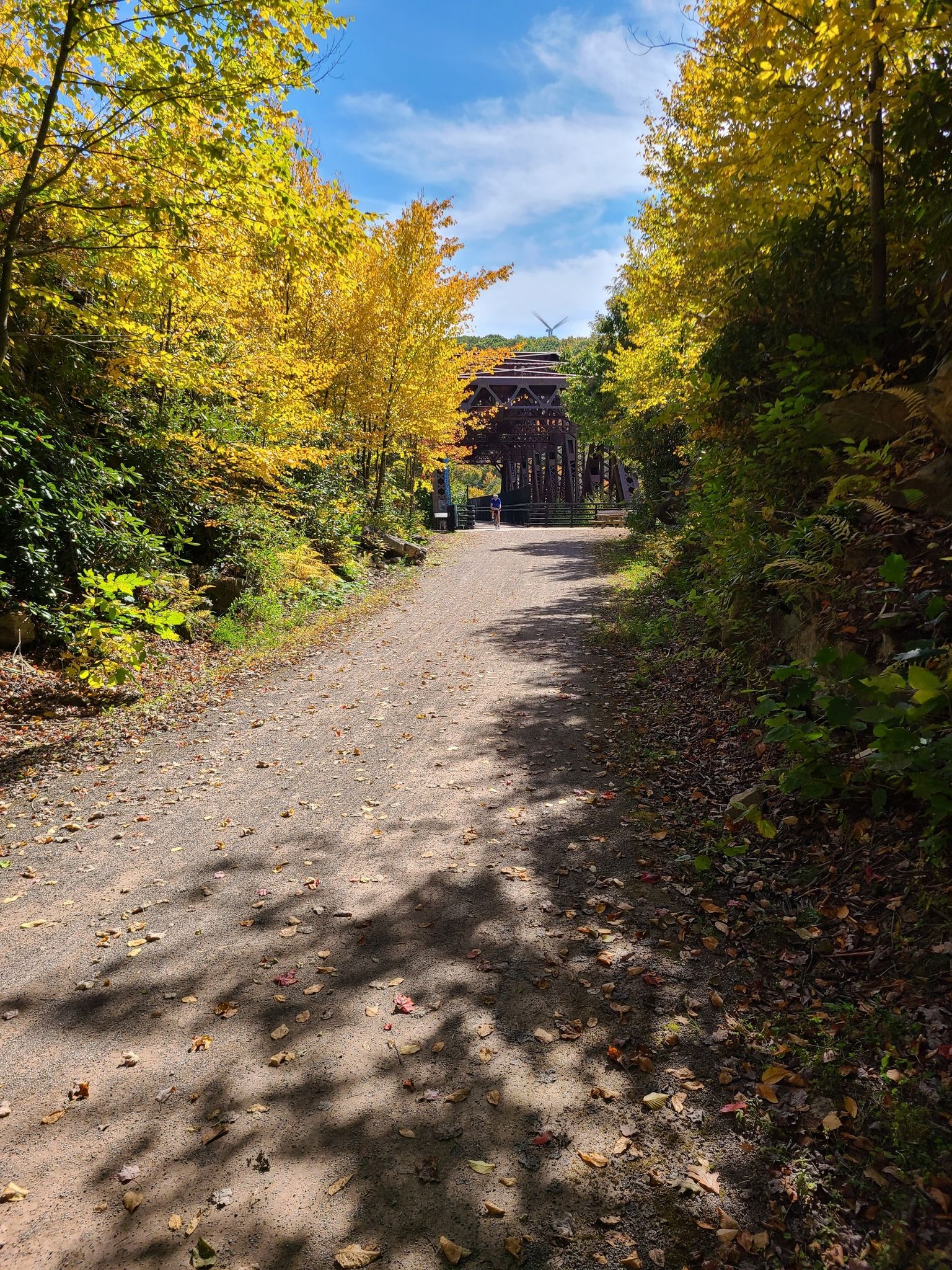 Sunny dirt path lined with vibrant yellow autumn trees leading to a bridge. - Meyersdale Visitors Center – Big Savage Tunnel loop from Meyersdale