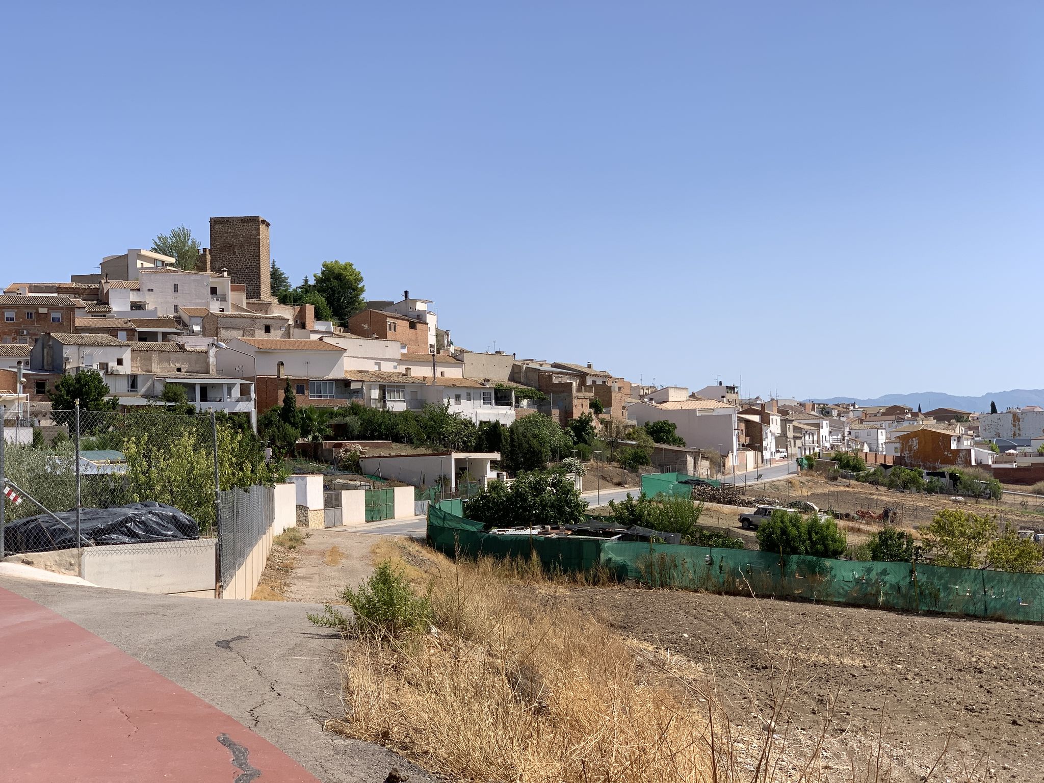 Peal de Becerro