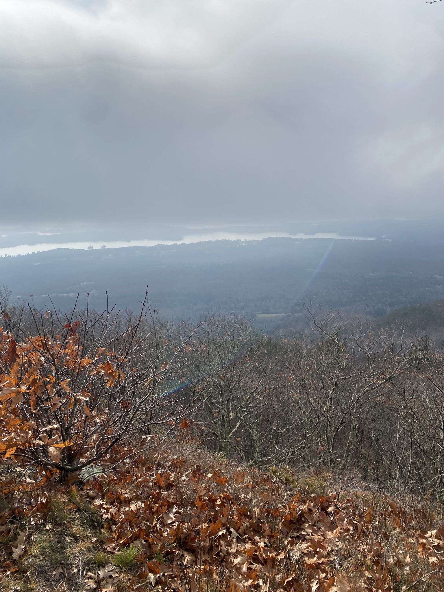Autumn foliage in foreground overlooking a hazy forested valley and distant water. - Bald Knob Cut-Off Trail