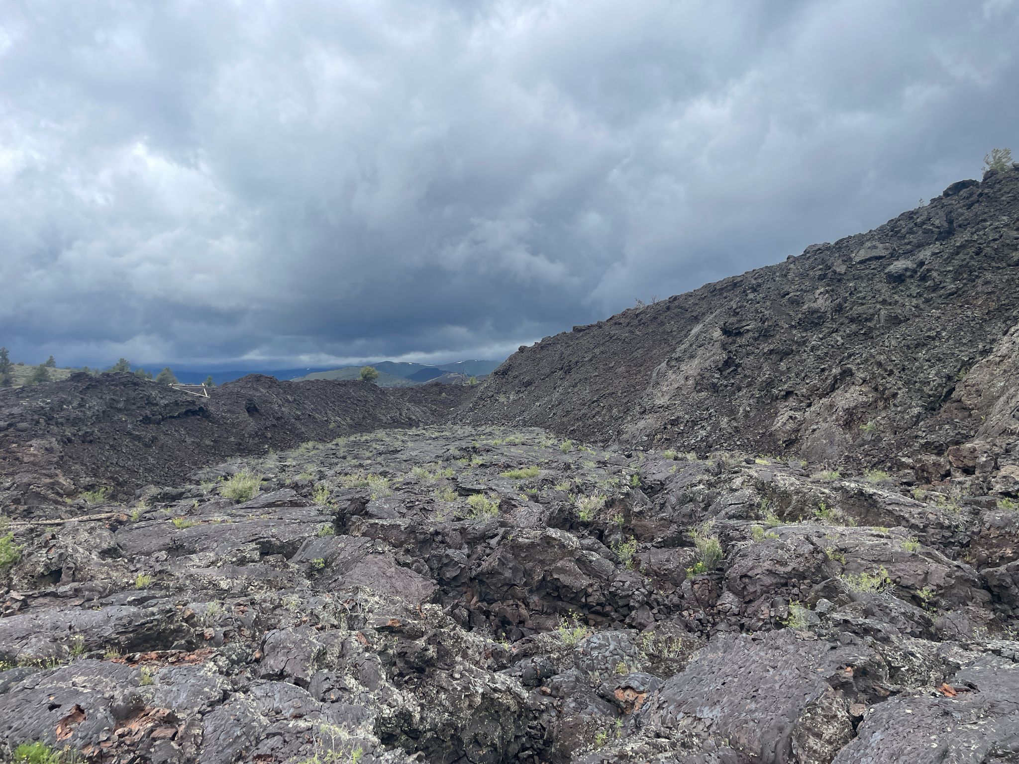 Expansive, dark volcanic landscape with sparse plants under a cloudy sky. - Wilderness Trail