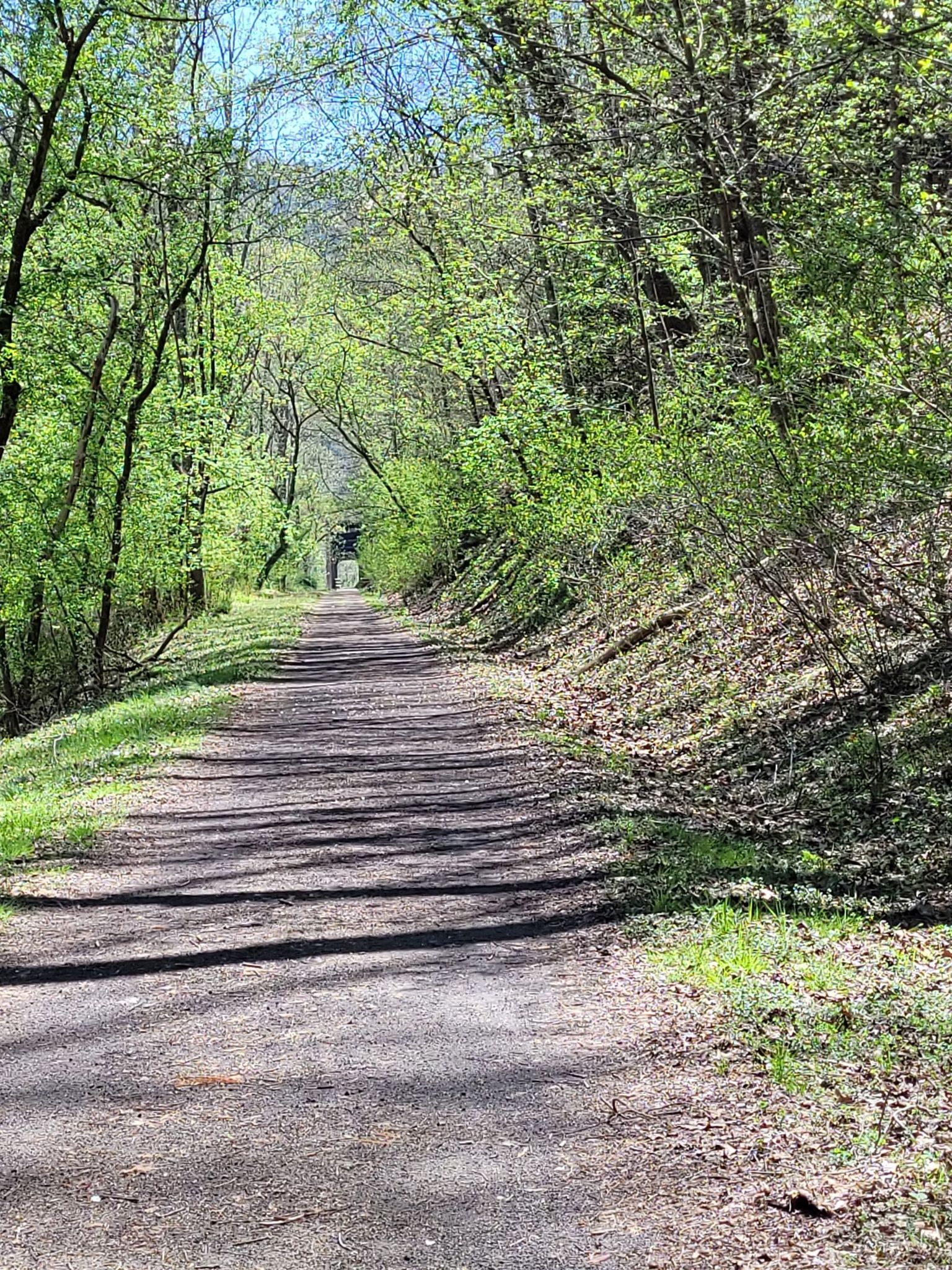 Shaded dirt path winding through a bright green, sunlit forest. - New River Trail: Draper to Hiwassee Bridge