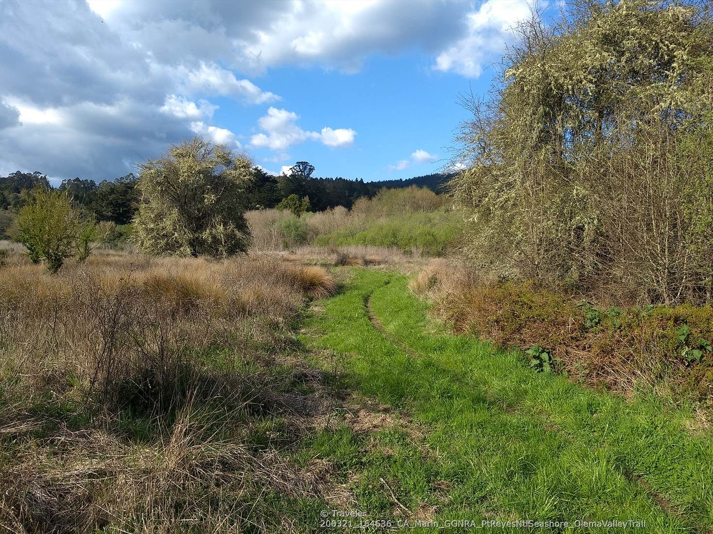 A grassy path winds through a sunny meadow with trees under a cloudy sky. - Teixeira Trail and Pablo Point Trail