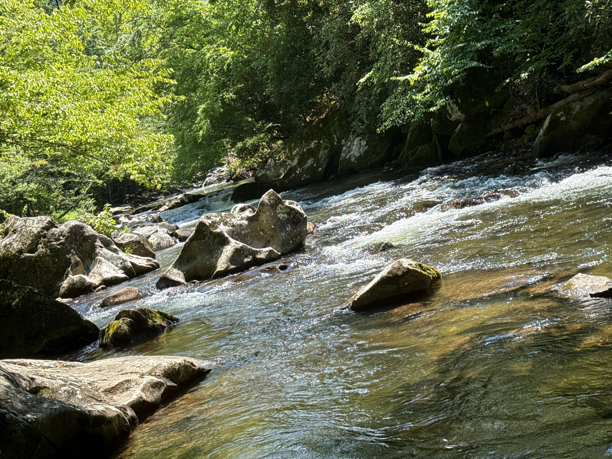 Sunny river with clear flowing water and large rocks, surrounded by trees. - Maloney Point Viewpoint – Sugarland Mountain Trailhead loop from Waldens Creek