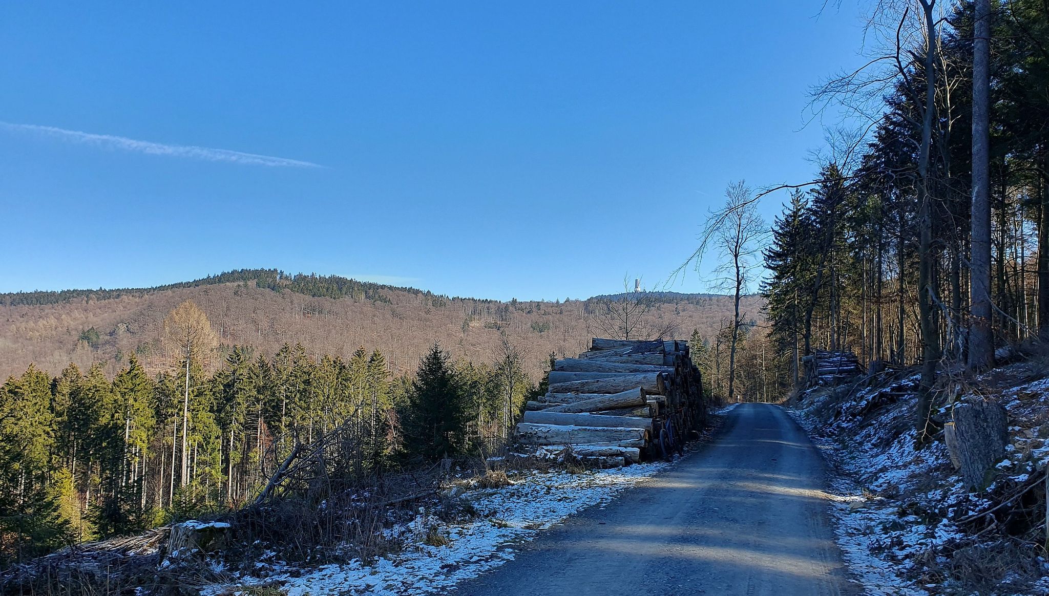 Auf dem Limesradweg mit Blick auf den großen Feldberg
