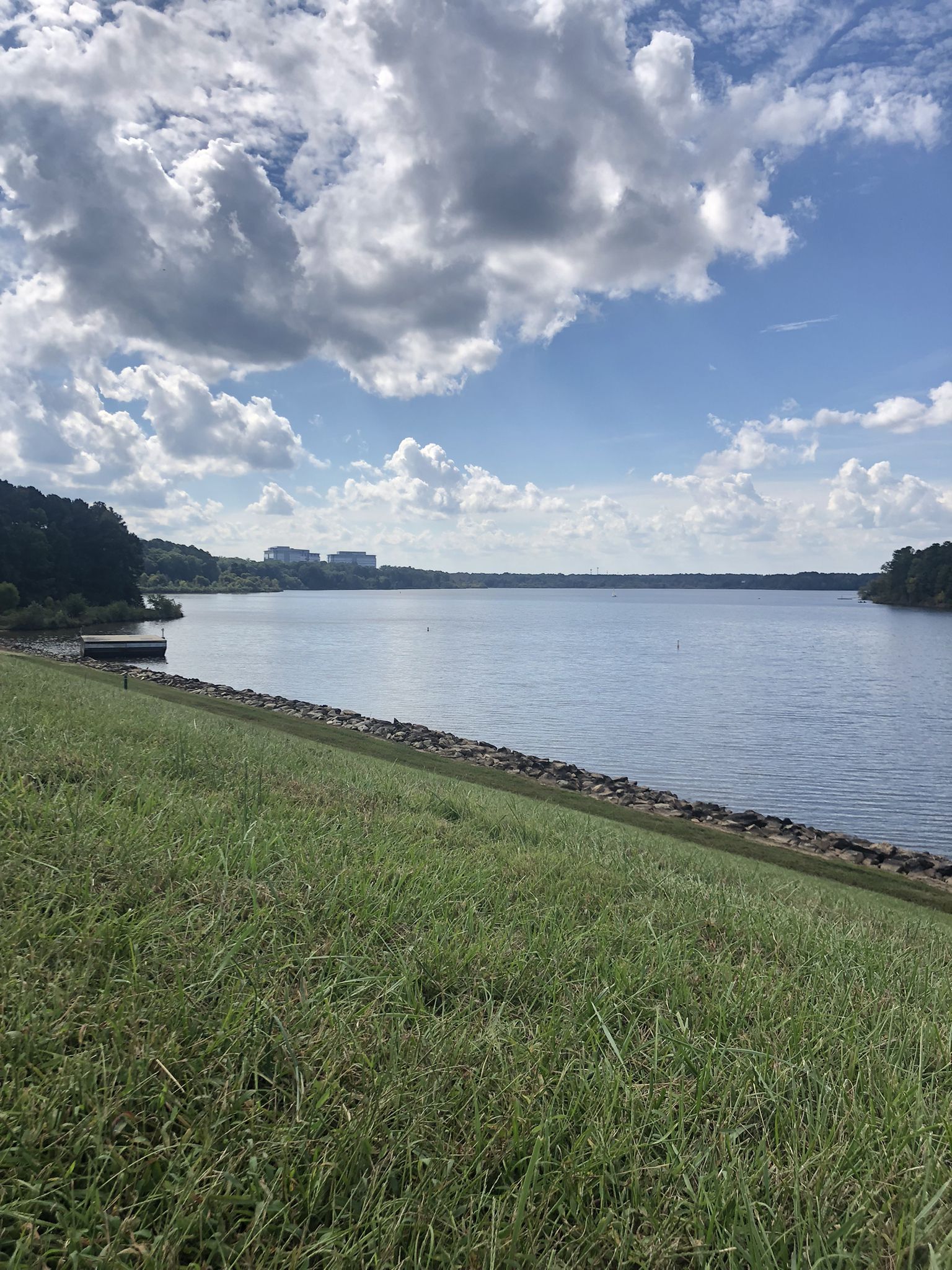 Grassy slope leading to a wide lake under a bright, cloudy blue sky. - Lake Crabtree Dam – Lake Crabtree loop from 3C