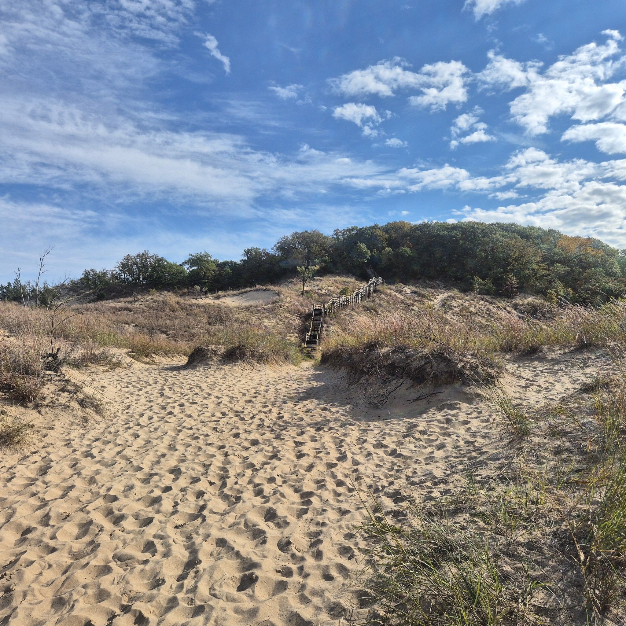 Sandy landscape with a long wooden staircase climbing a grassy dune. - Long Lake Trail – West Beach Trails loop from Indiana Dunes National Park
