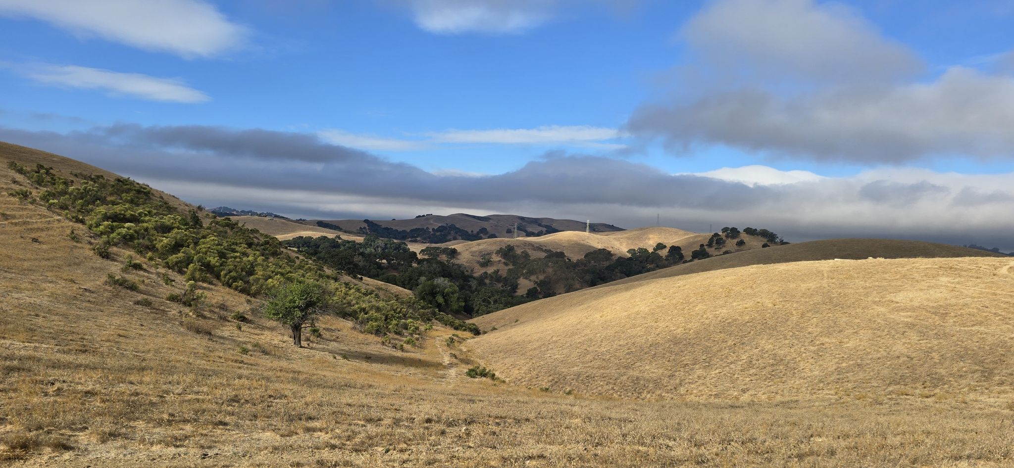 Golden hills and green trees under a bright, partly cloudy sky. - Aquatic Center loop from Martinez
