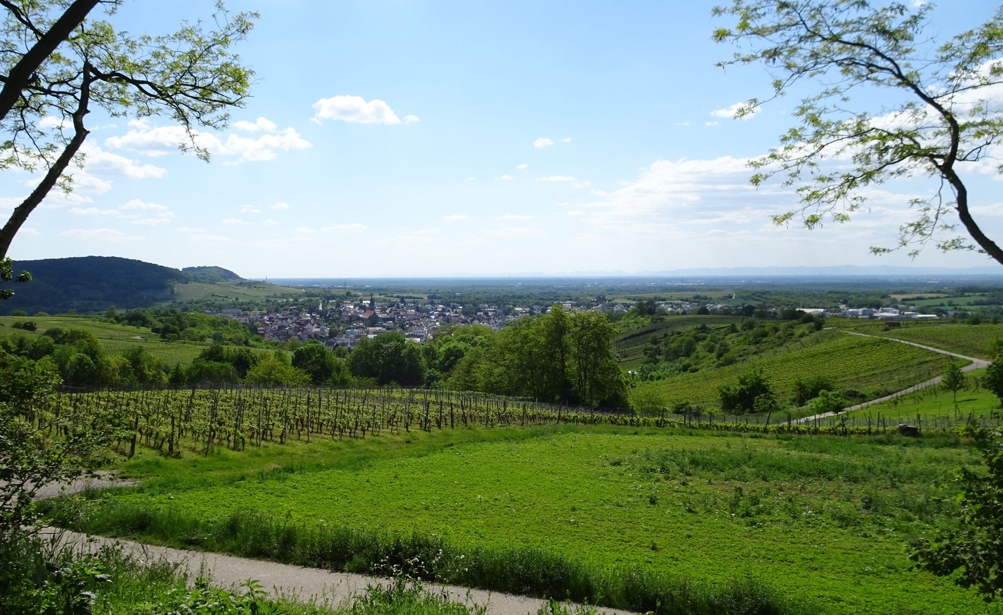 Blick vom neuen Aussichtsplatz
