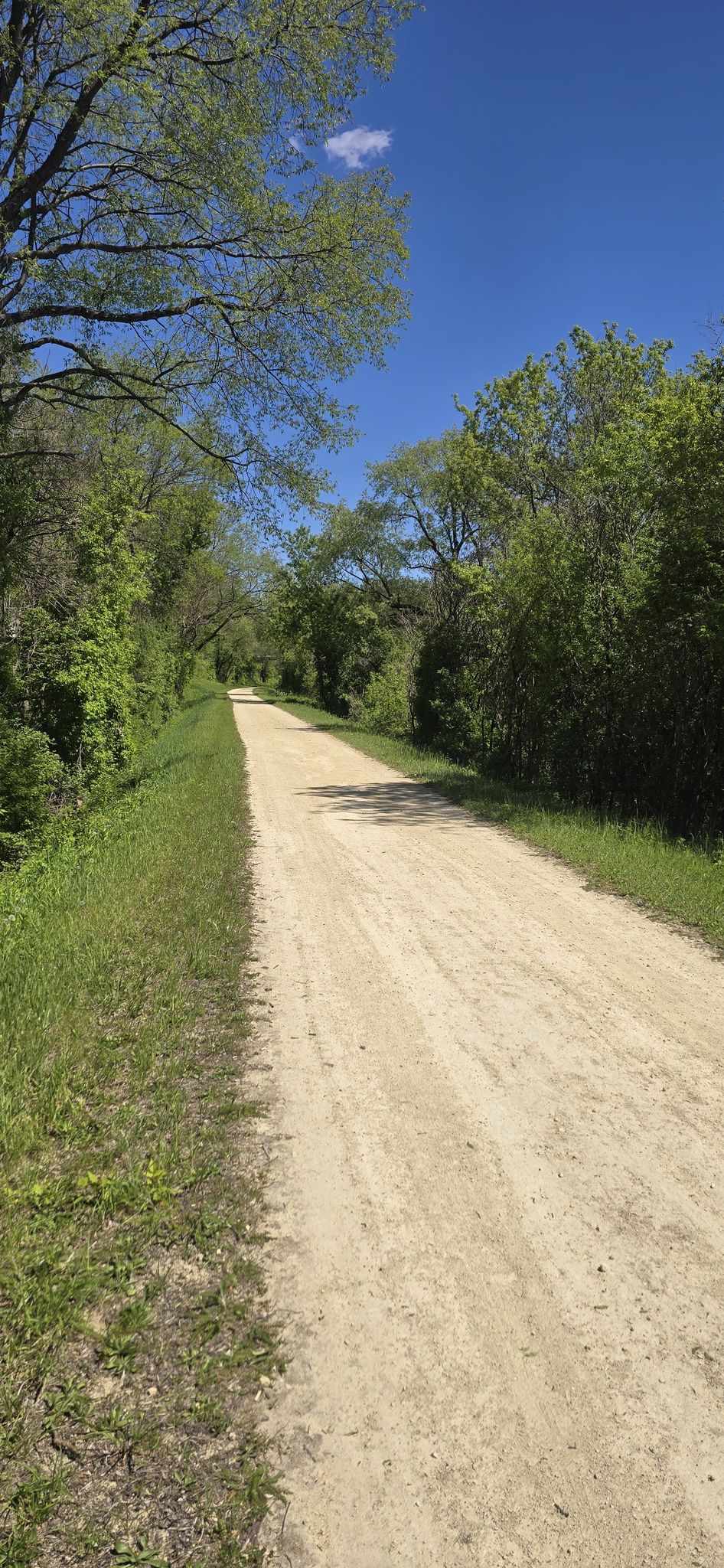Trail