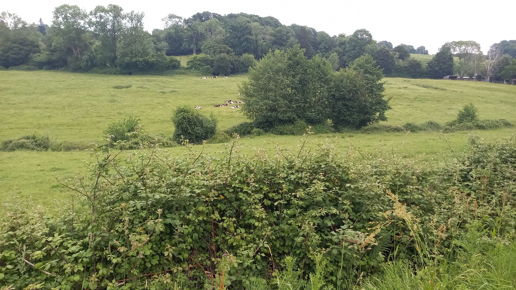 prachtig landschap