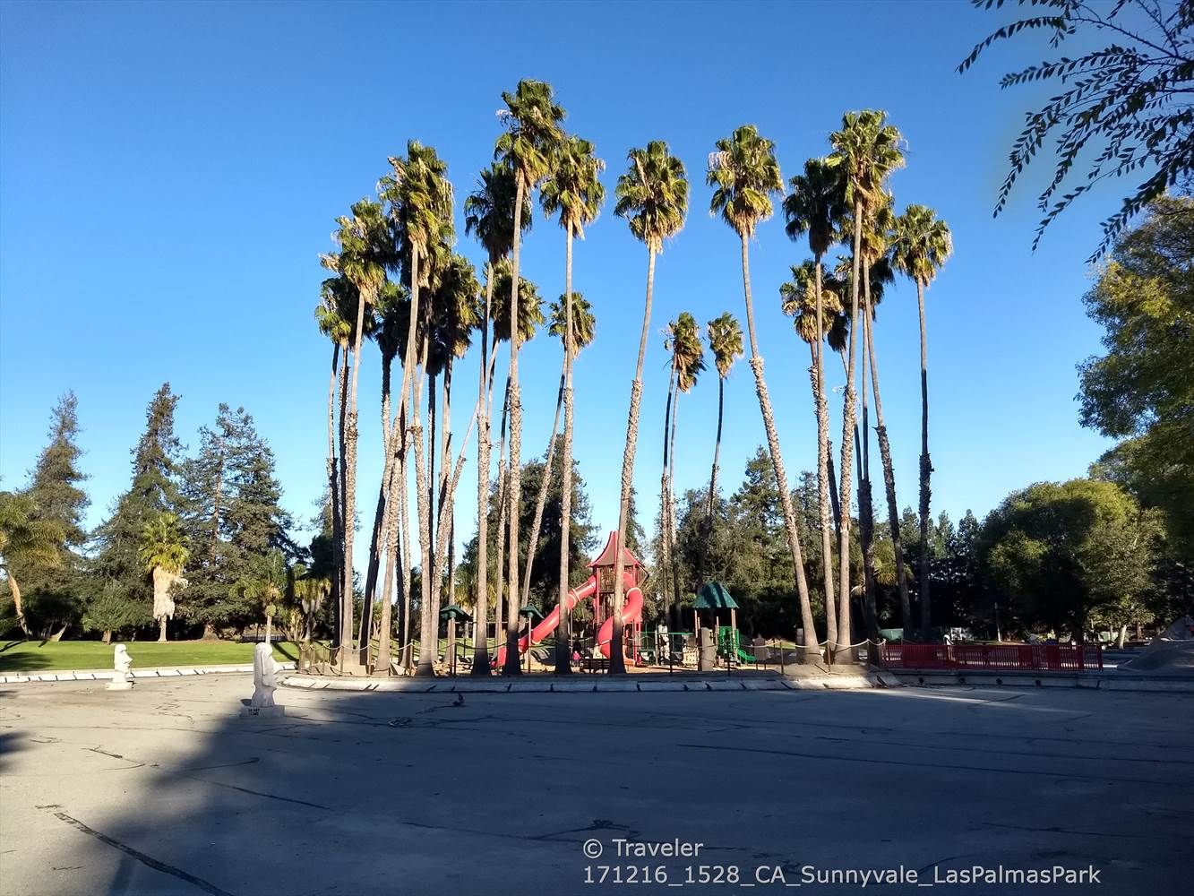 Tall palm trees and playground equipment under a bright, clear blue sky. - Las Palmas Park