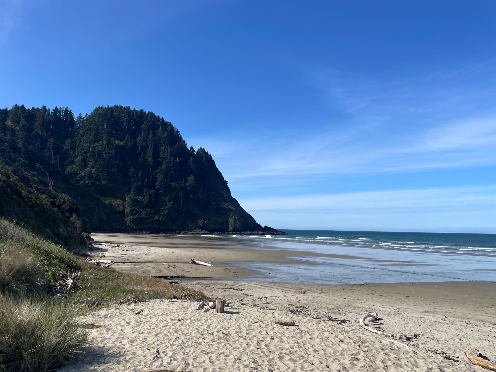 Bright beach with ocean waves, sandy shore, and a large forested cliff. - Hobbit and China Creek Loop