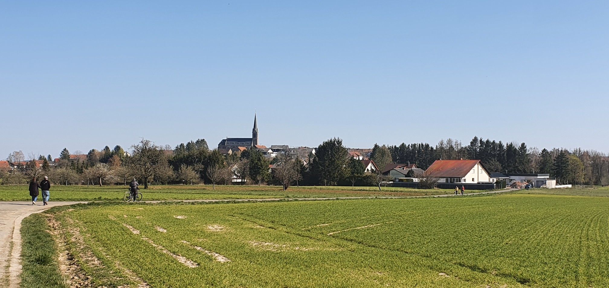 Biesingen