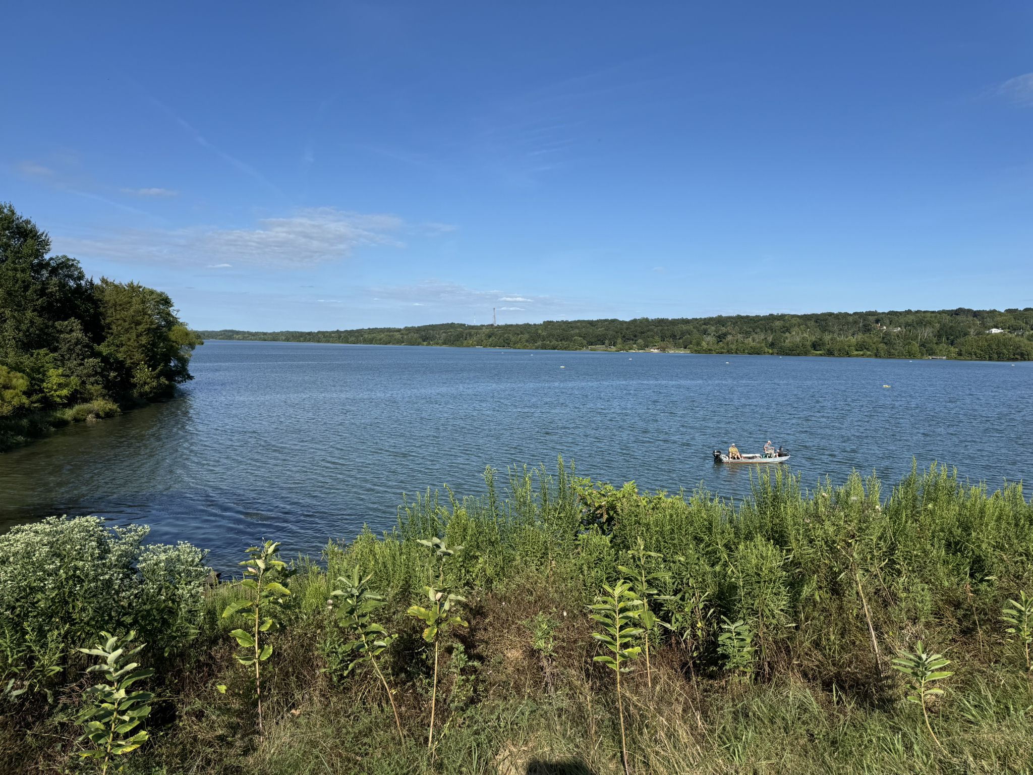 Sunny view of a wide lake with green shores and a distant boat. - Lake Galena Hike and Bike Trail