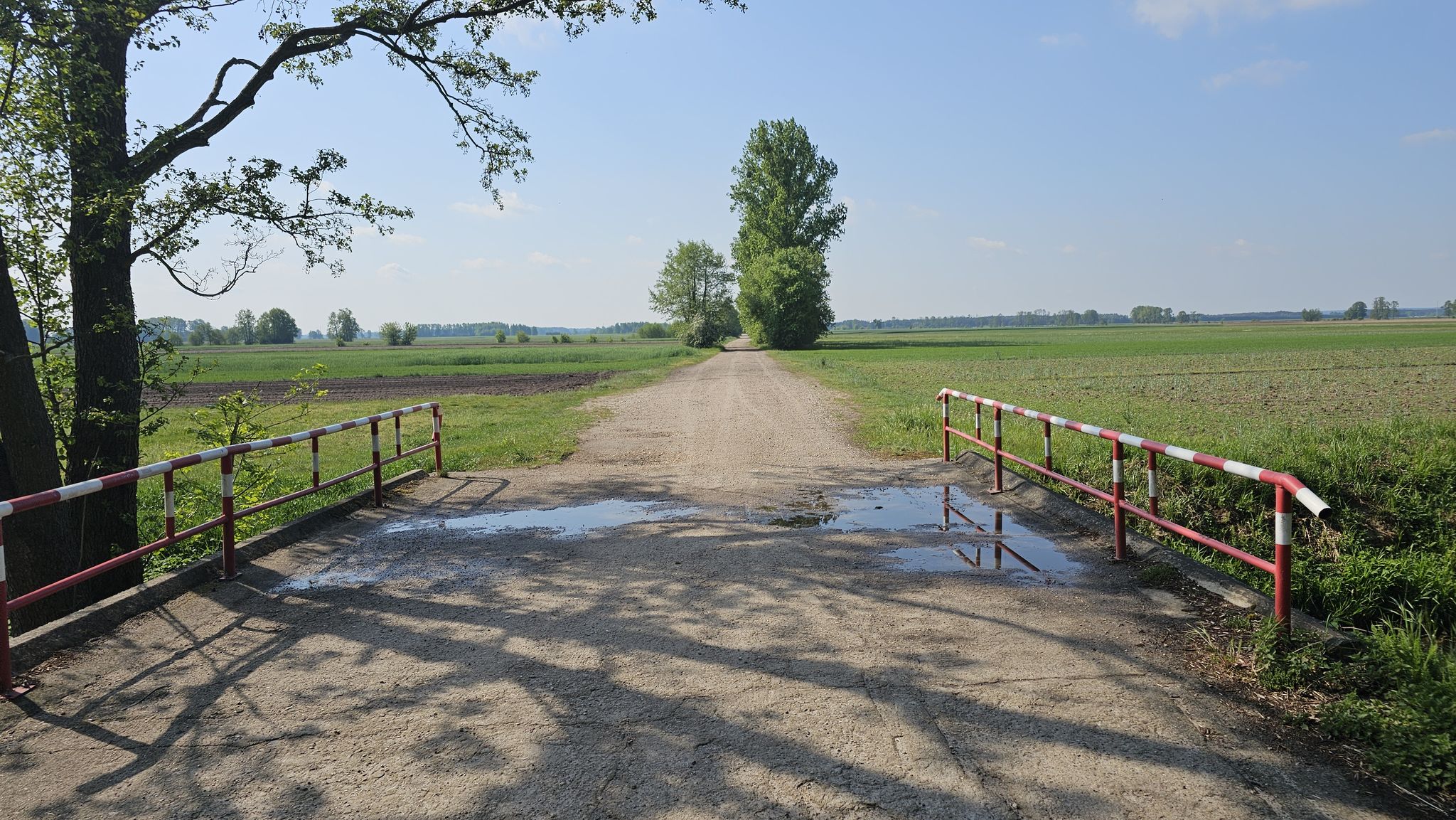 Trail view