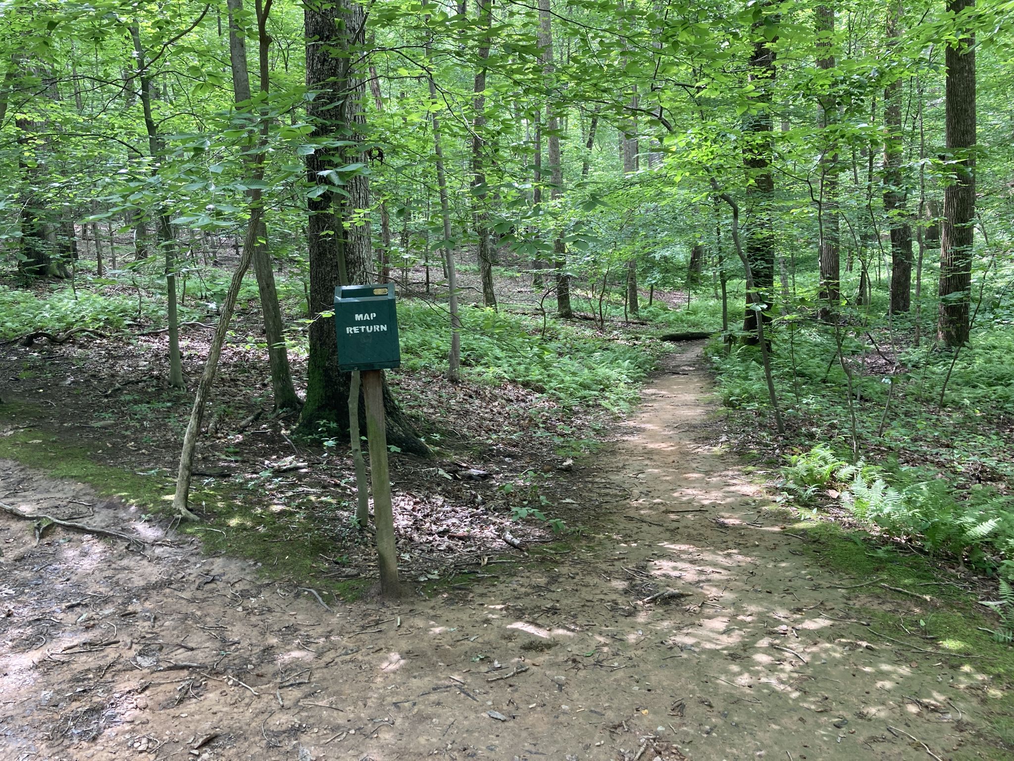 A green map box at a fork in a dirt trail through a forest. - Oregon Ridge Park Loop